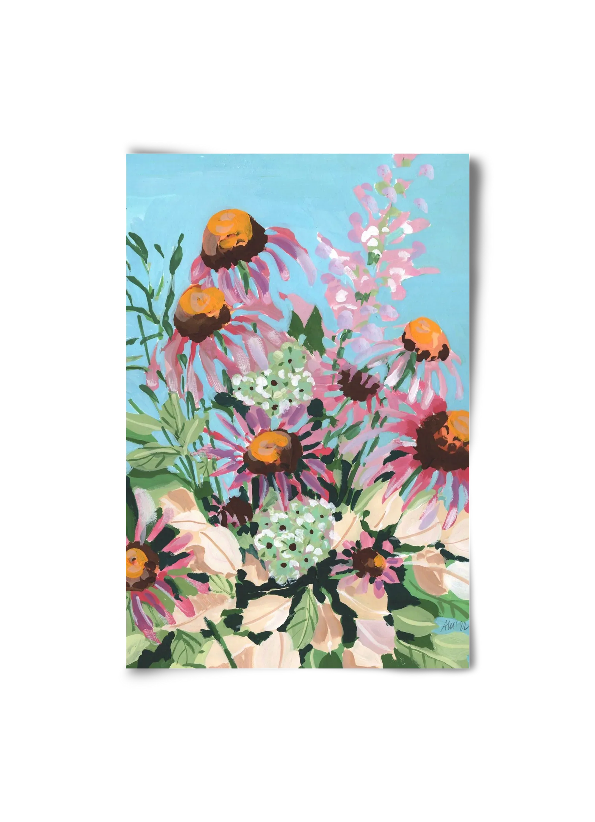 Echinacea purpurea - artbridge