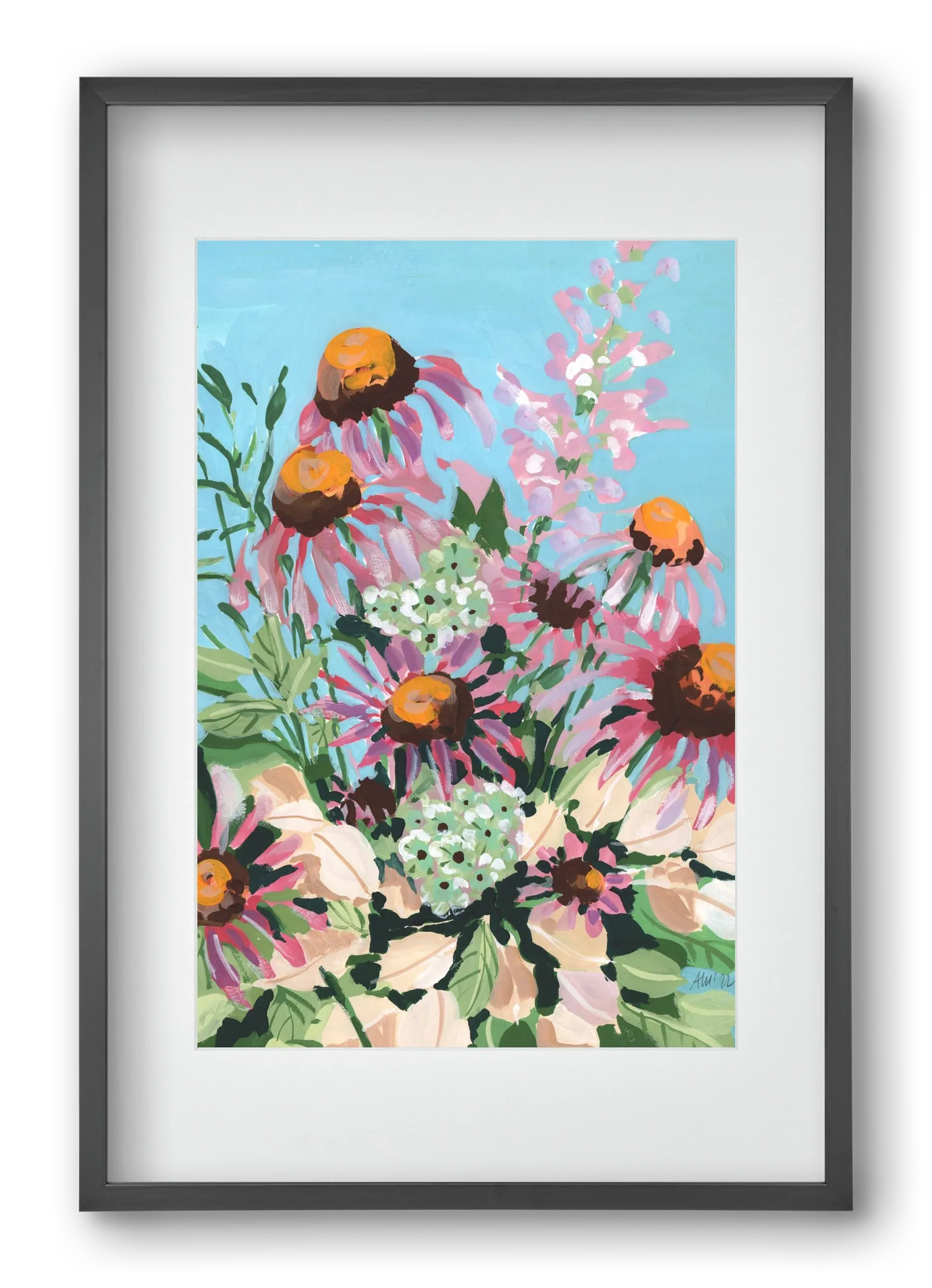 Echinacea purpurea - artbridge