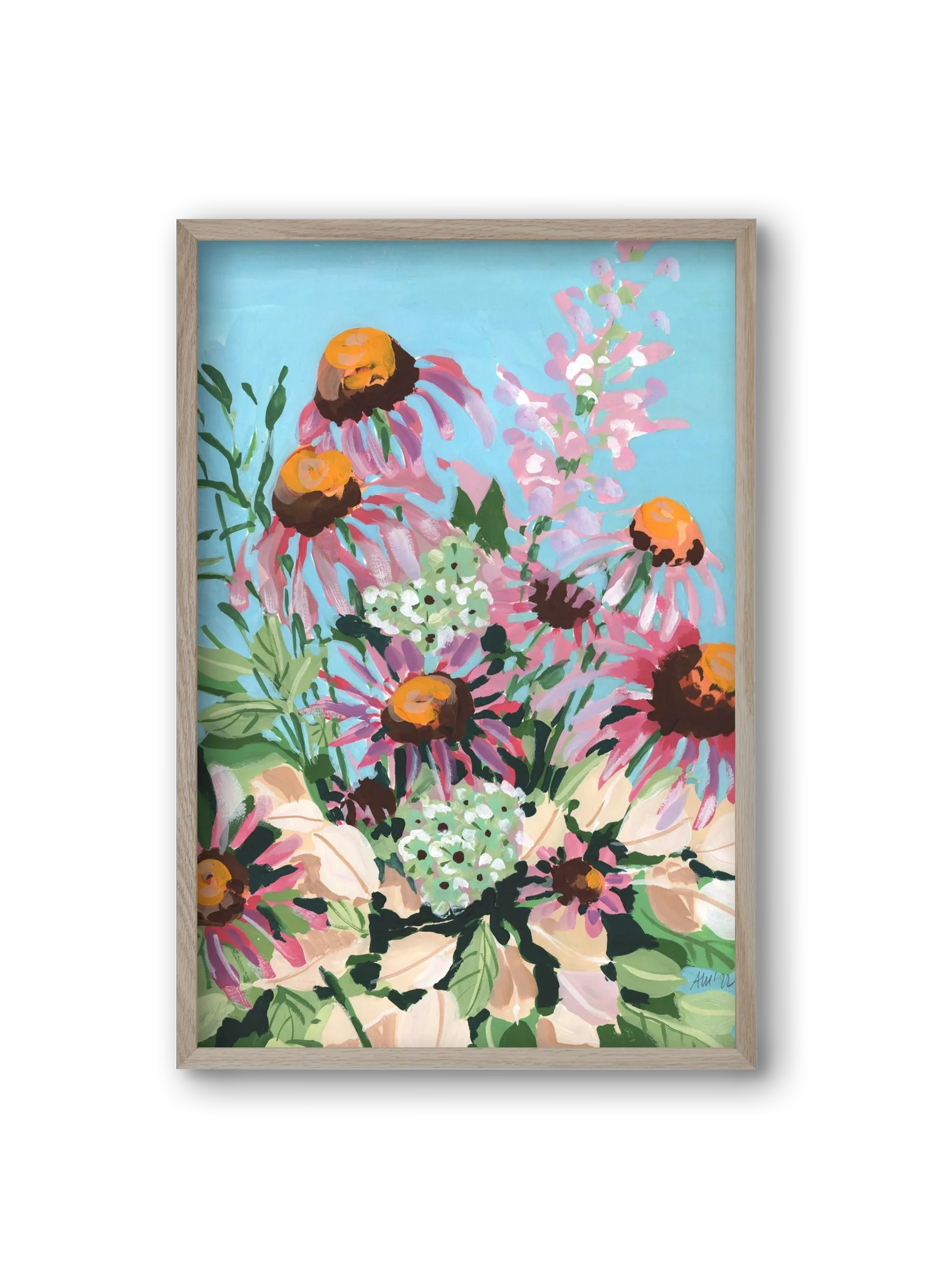 Echinacea purpurea - artbridge