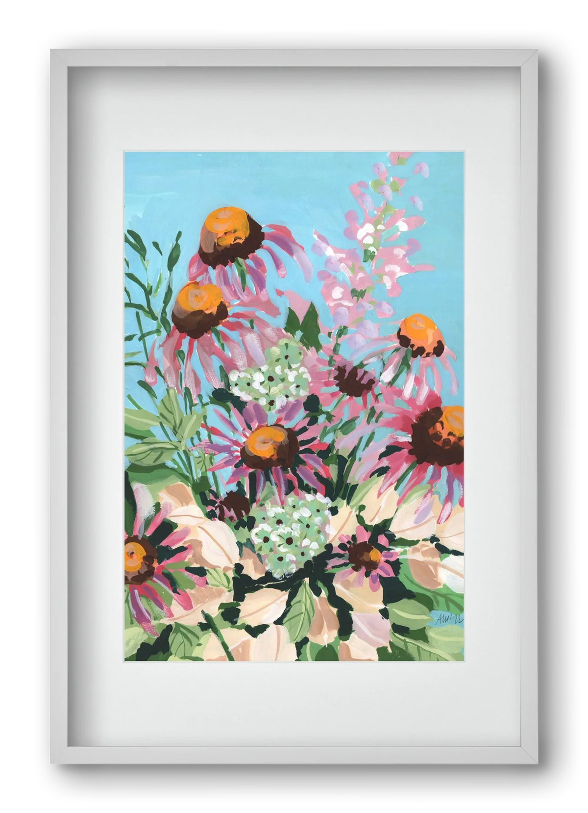 Echinacea purpurea - artbridge