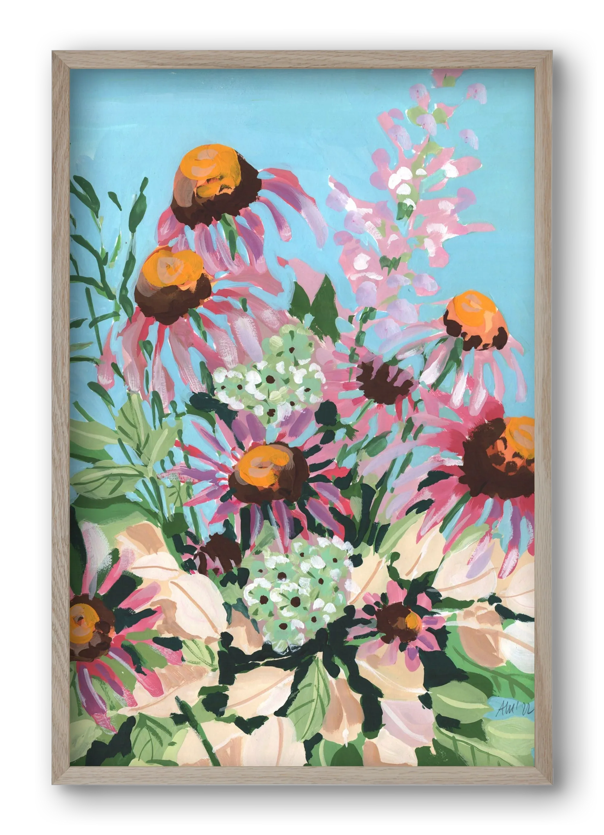 Echinacea purpurea - artbridge