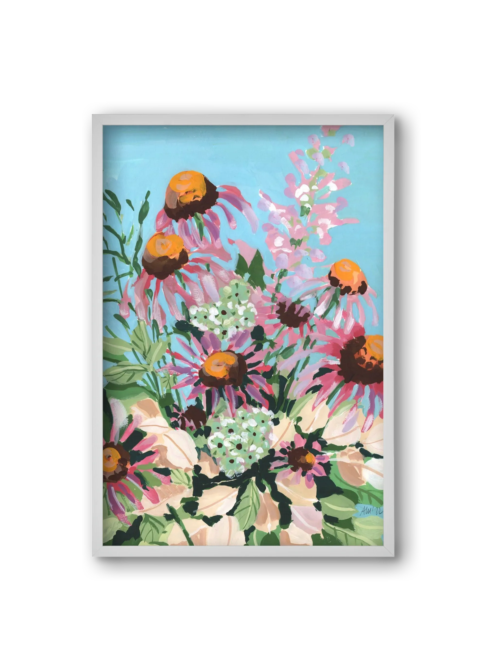 Echinacea purpurea - artbridge