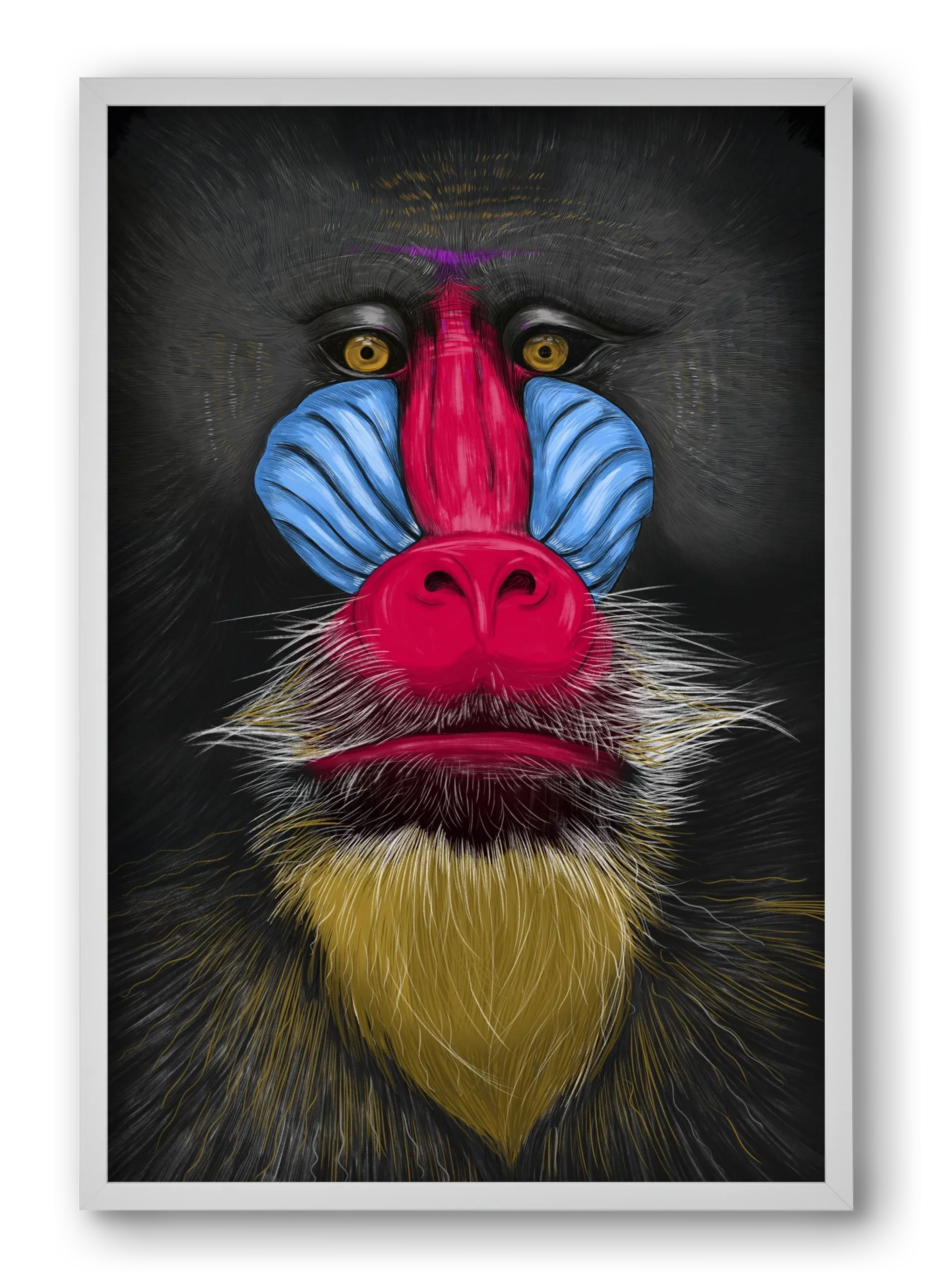 Monkey illustration - artbridge