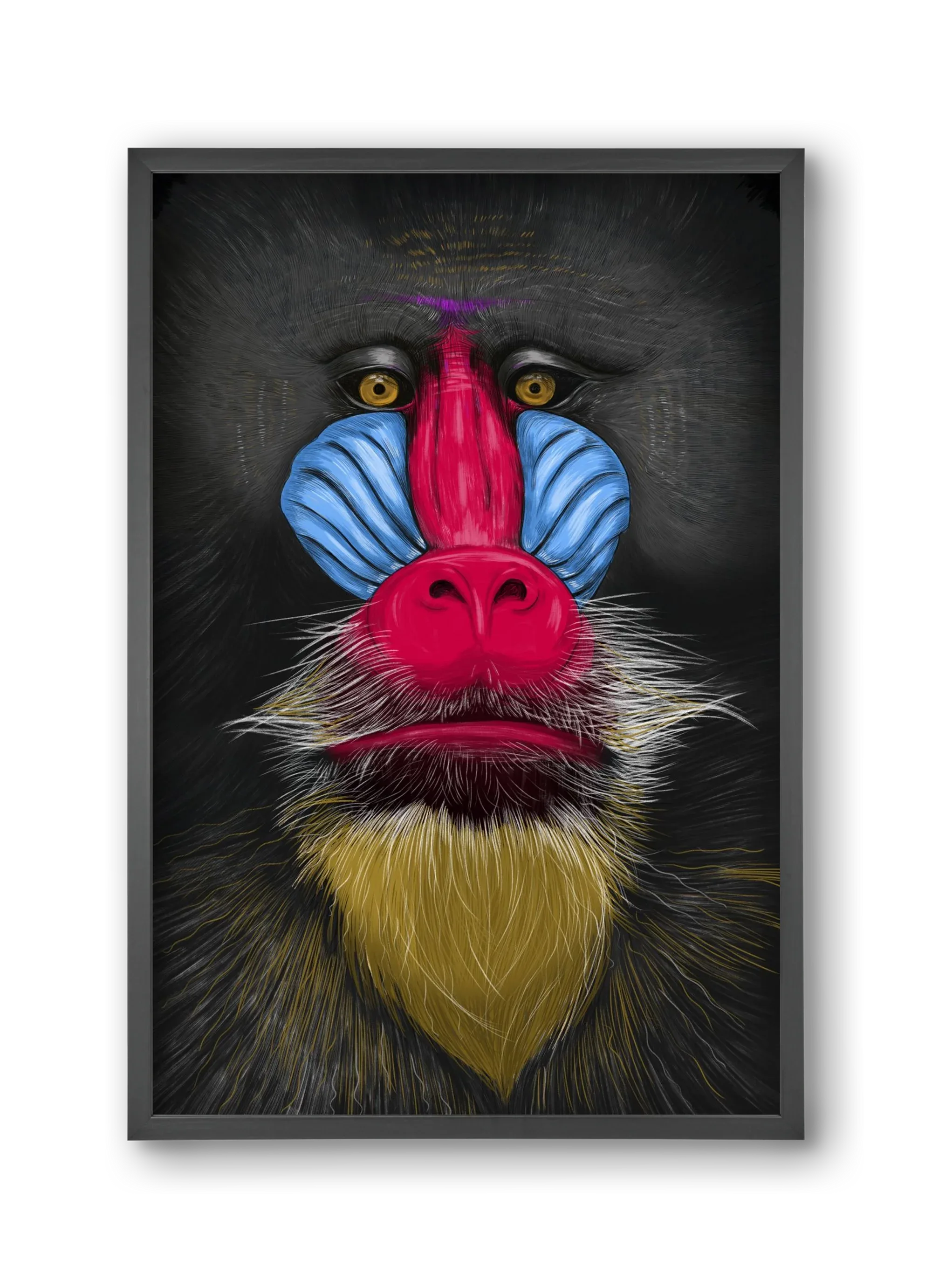 Monkey illustration - artbridge