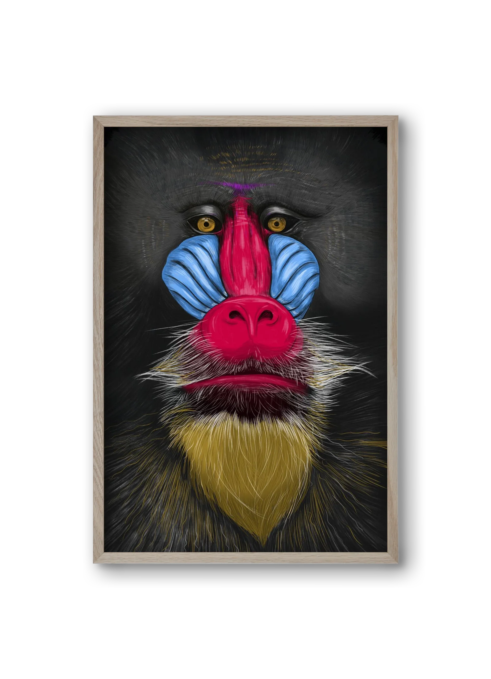 Monkey illustration - artbridge