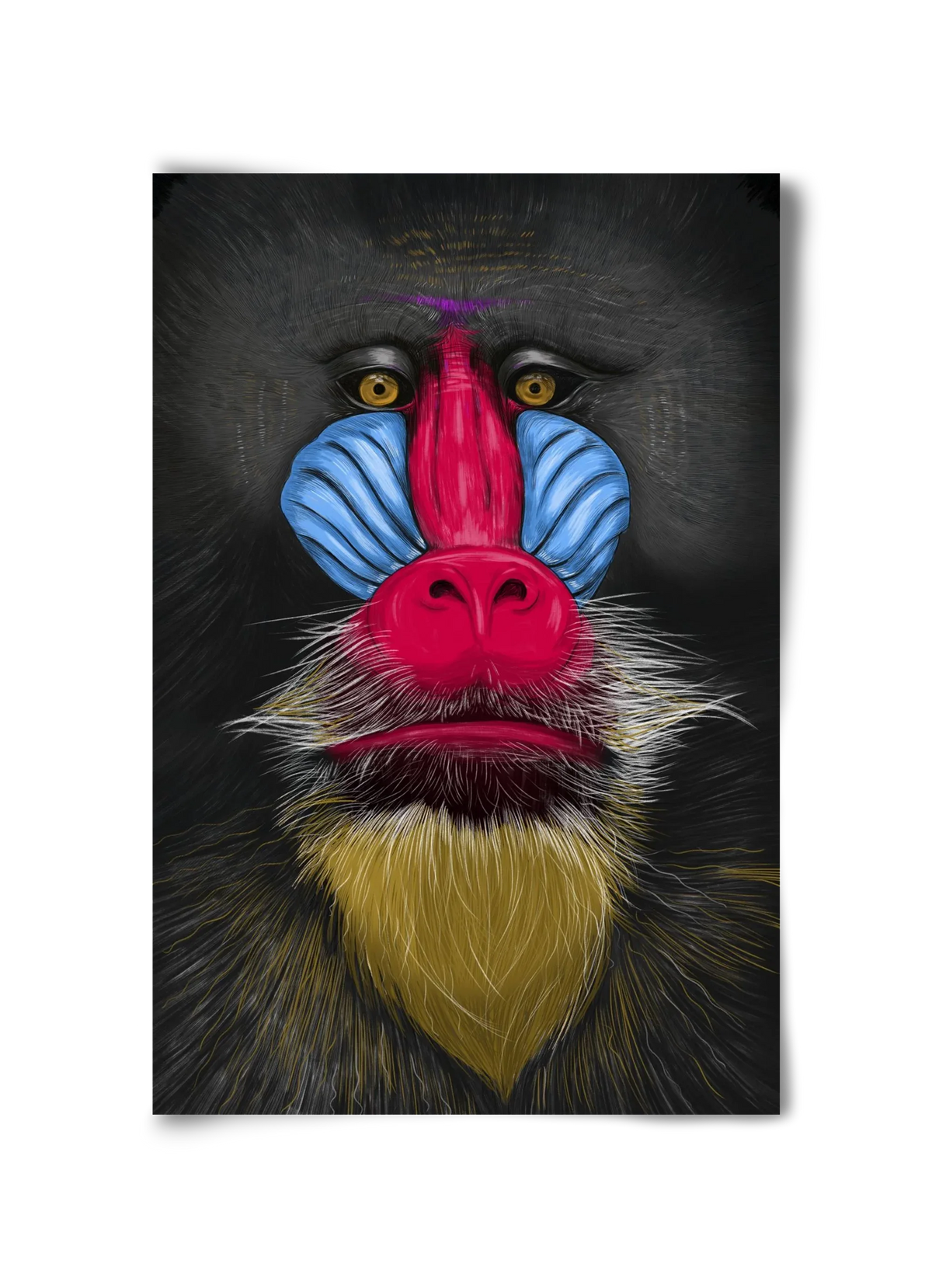 Monkey illustration - artbridge