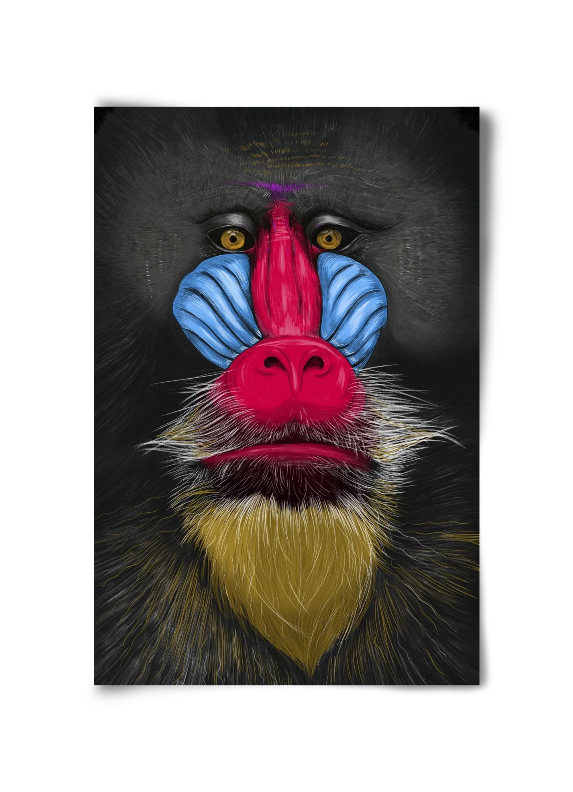 Monkey illustration - artbridge