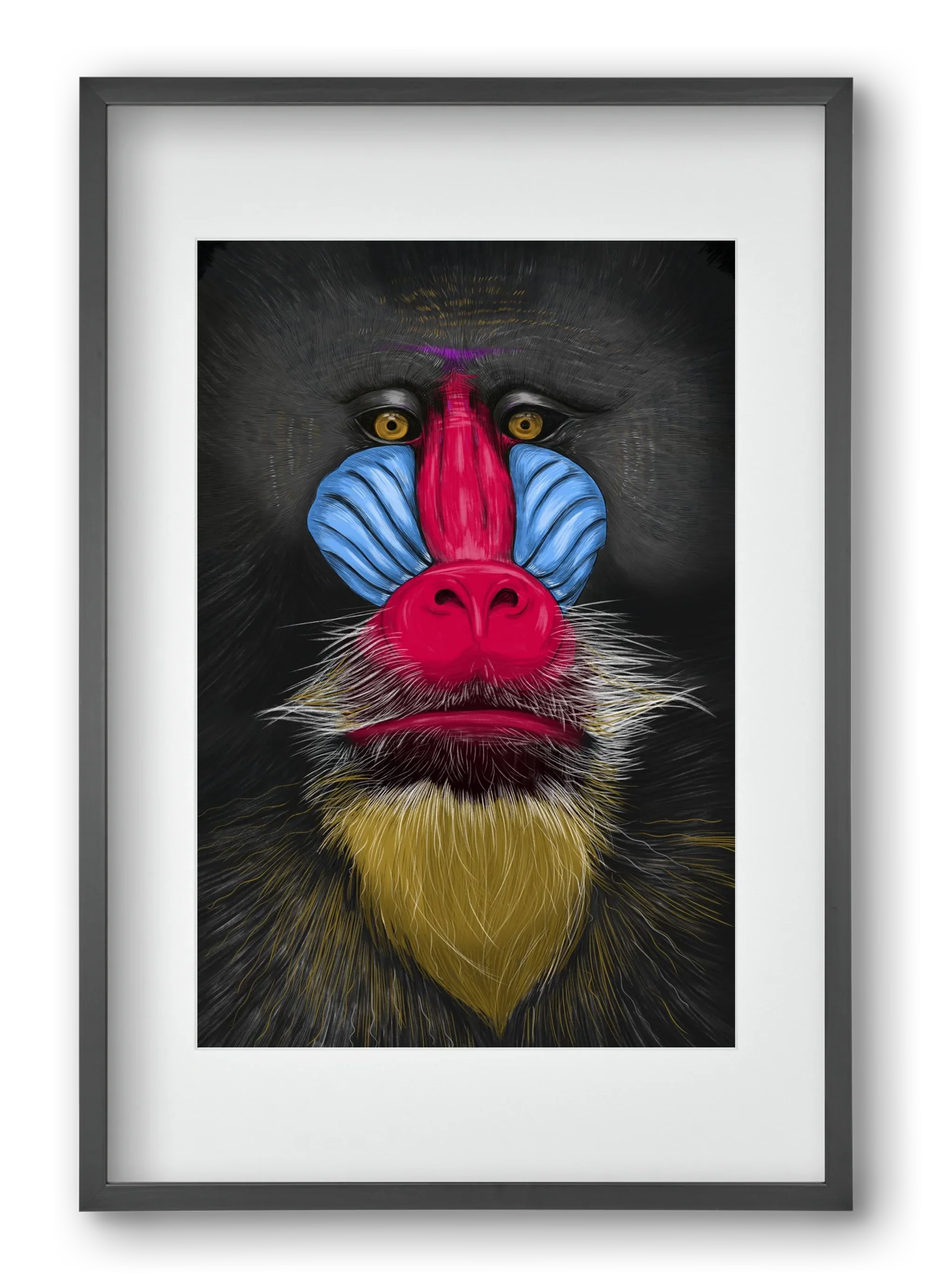 Monkey illustration - artbridge
