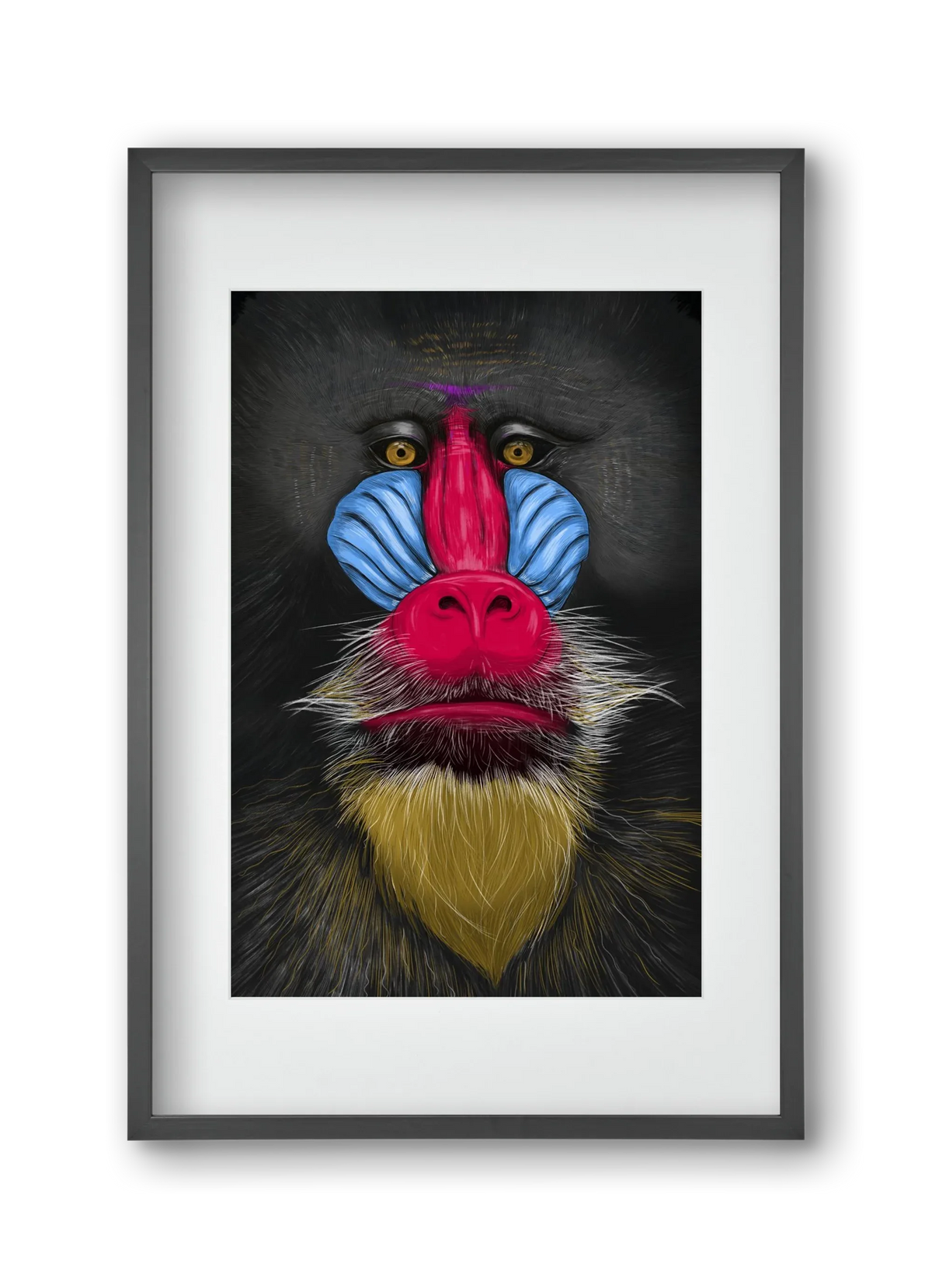 Monkey illustration - artbridge