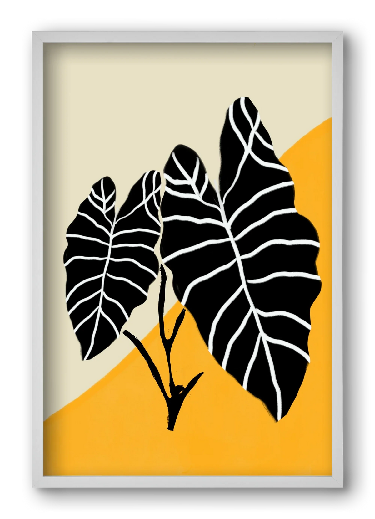 Alocasia - artbridge