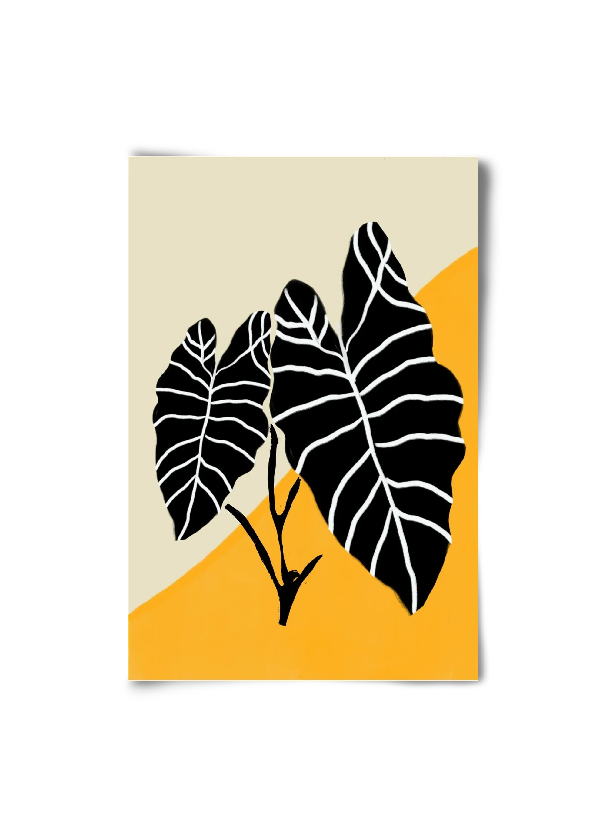 Alocasia - artbridge