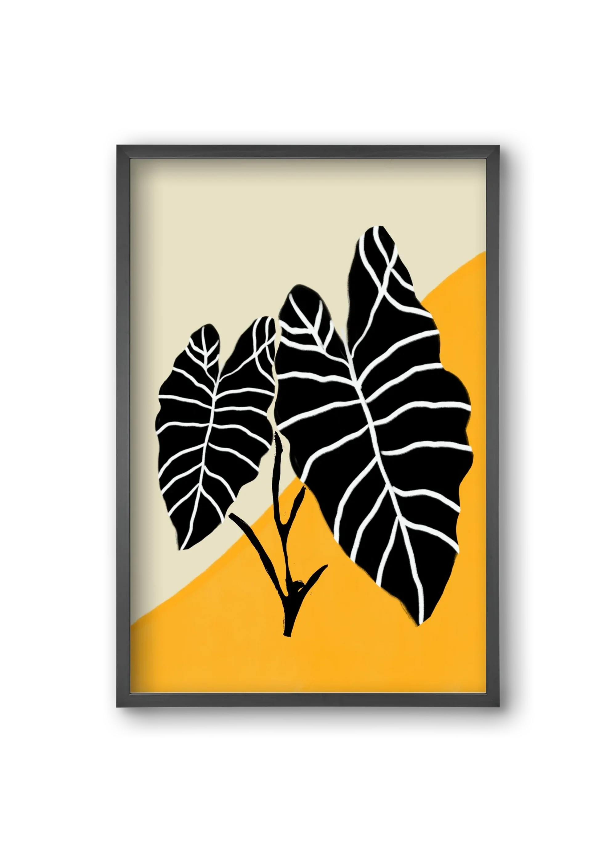 Alocasia - artbridge