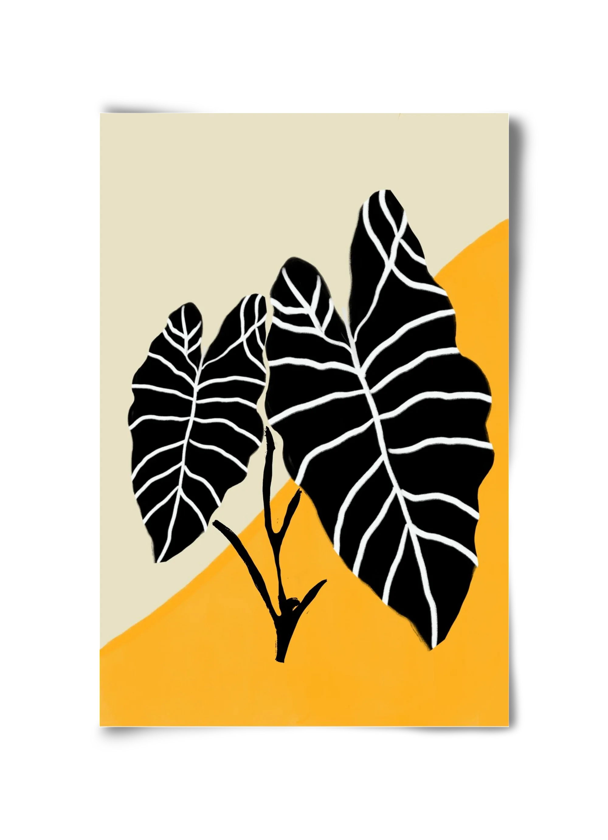 Alocasia - artbridge