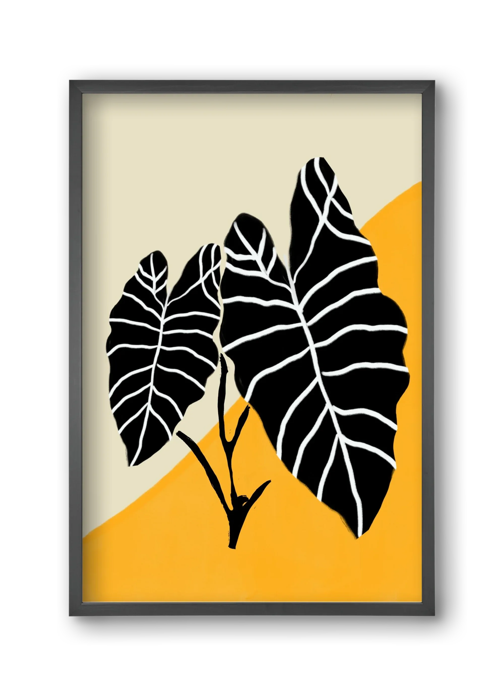 Alocasia - artbridge