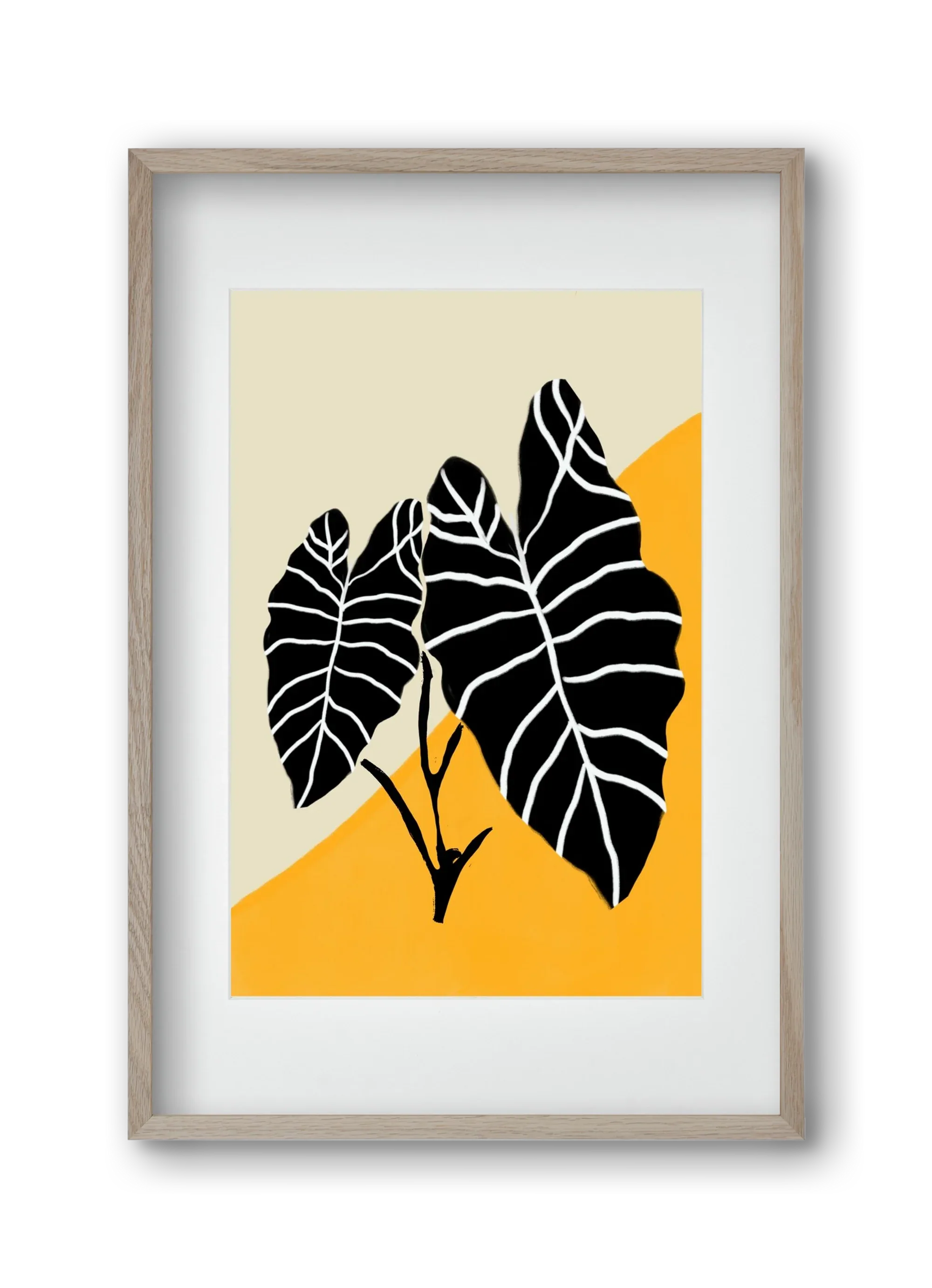 Alocasia - artbridge
