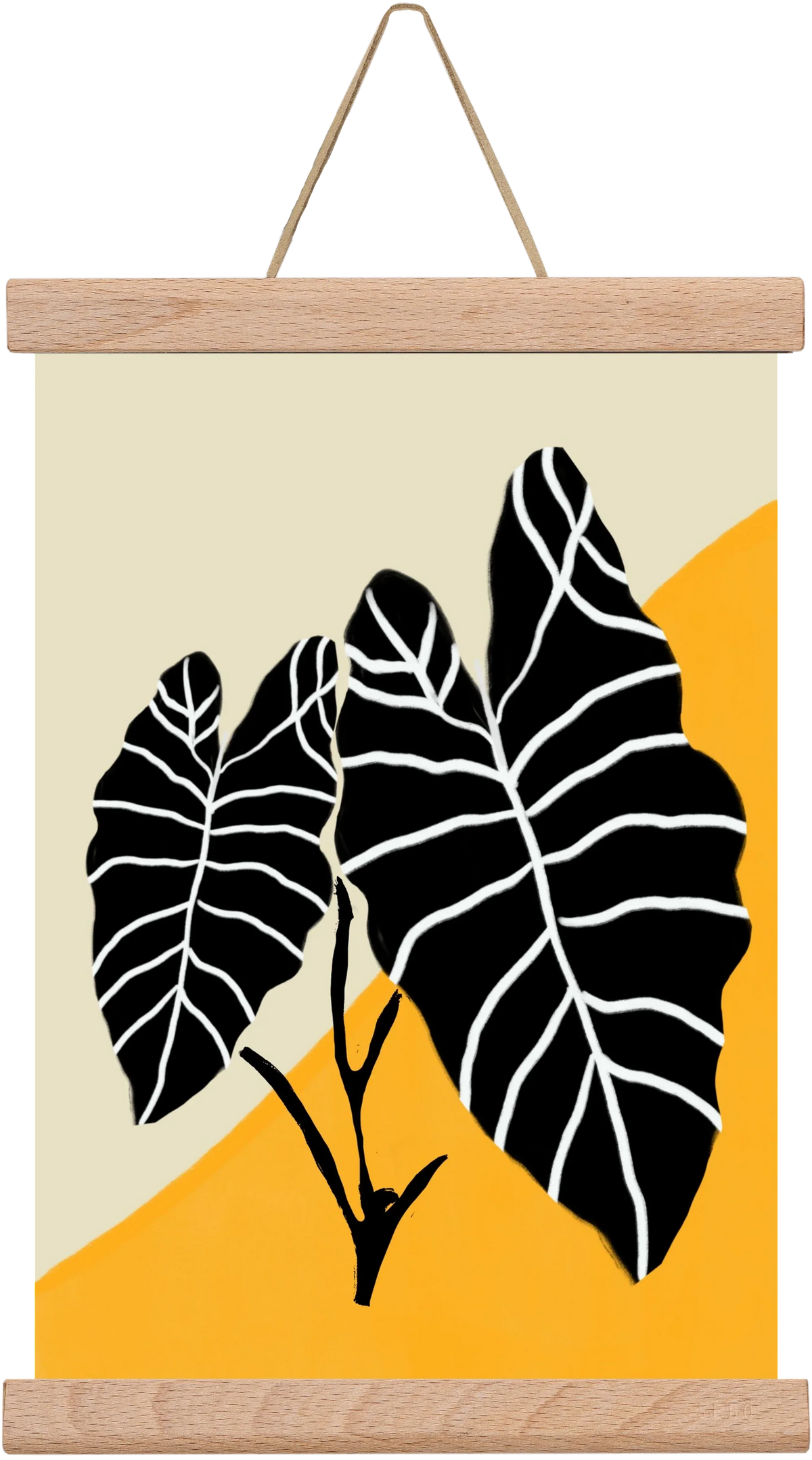 Alocasia - artbridge