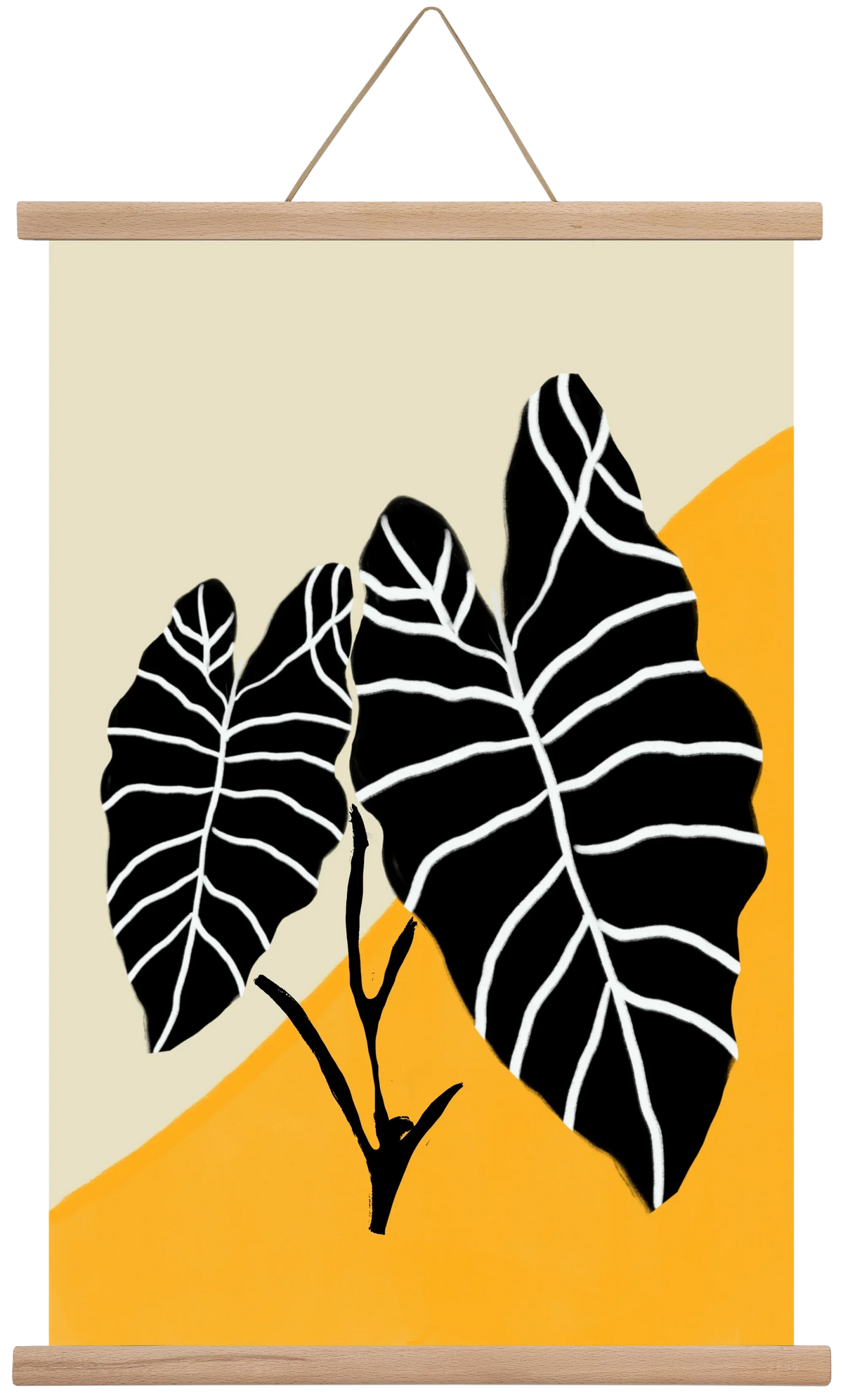 Alocasia - artbridge