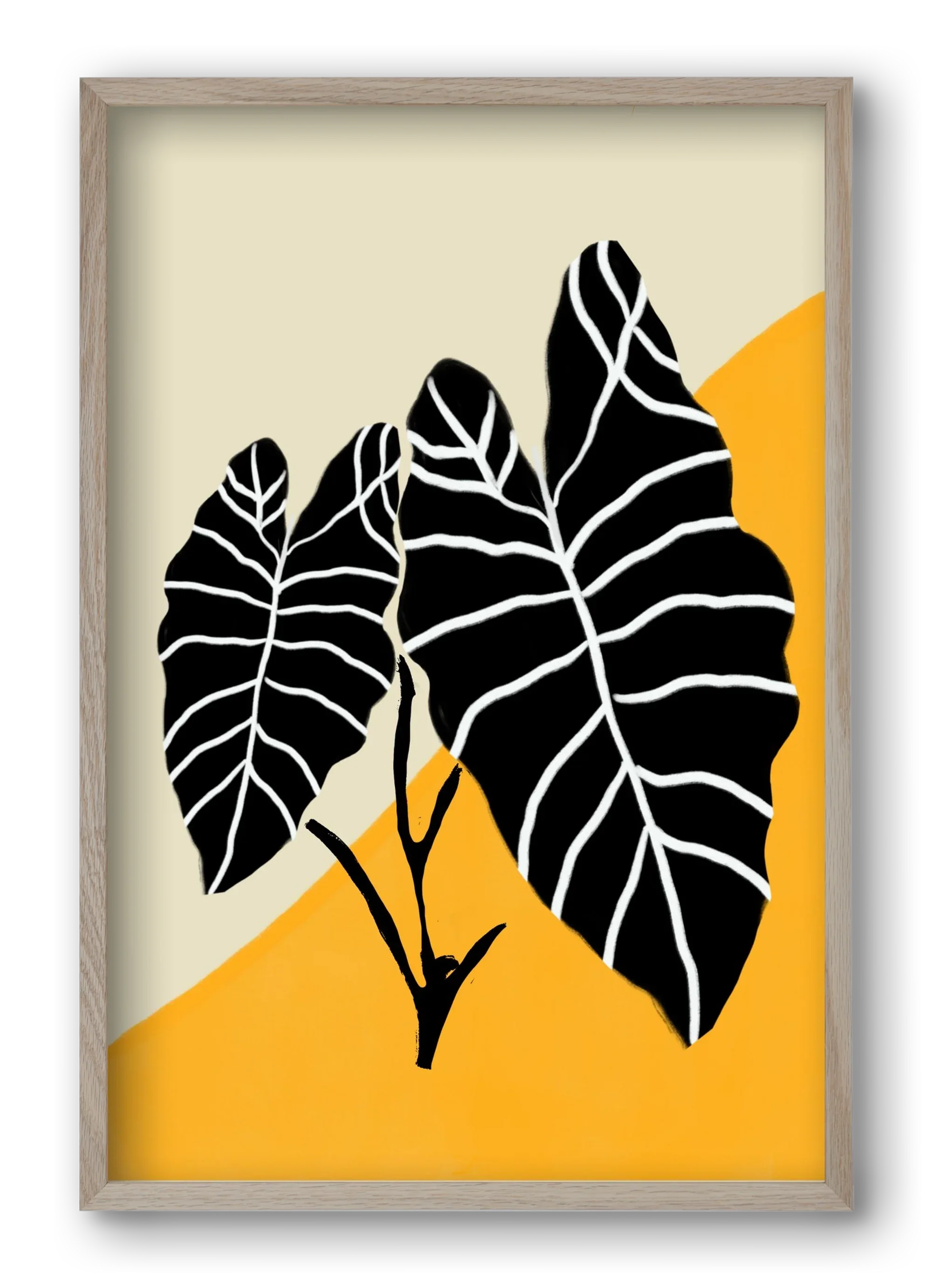 Alocasia - artbridge