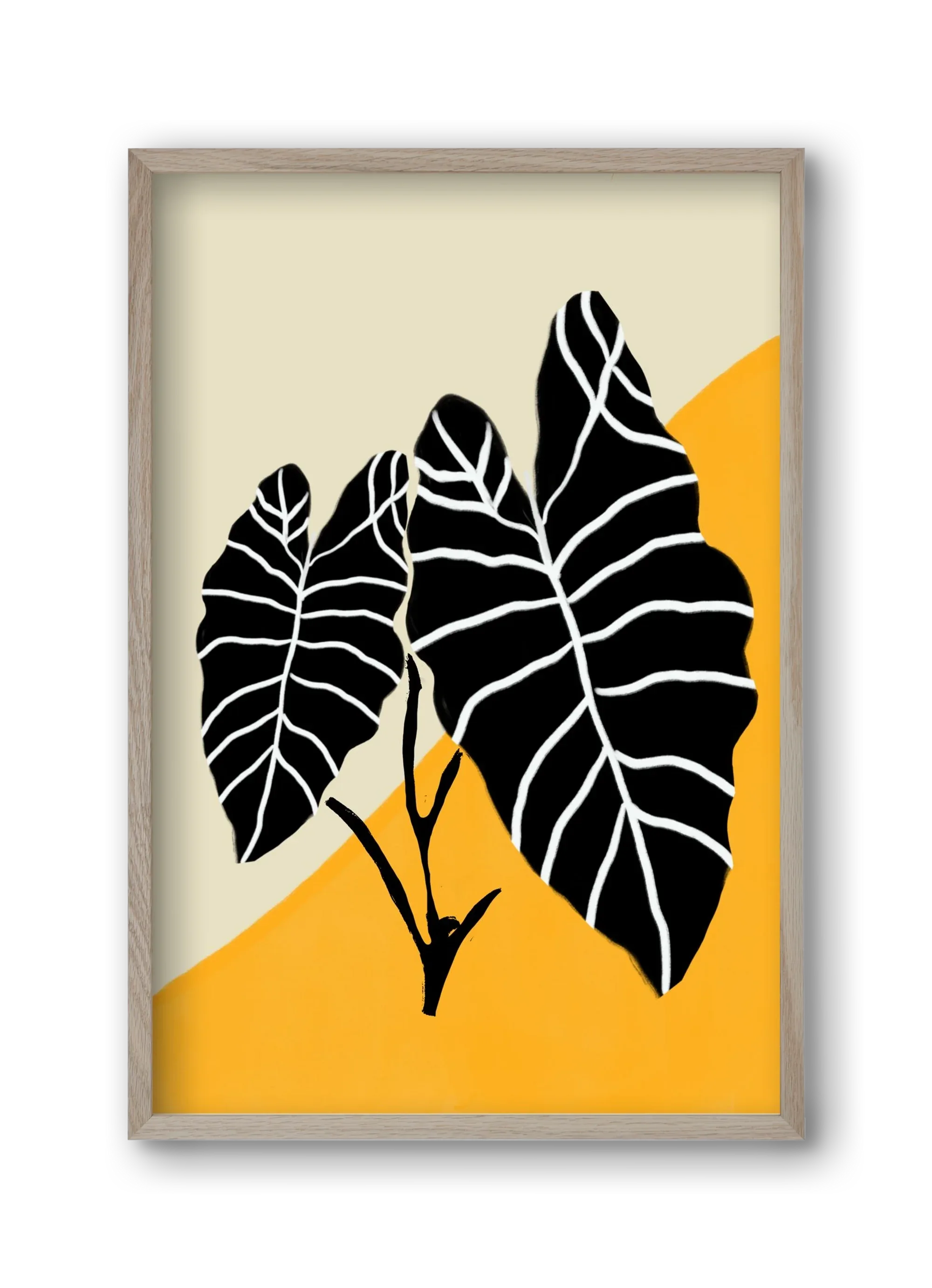 Alocasia - artbridge