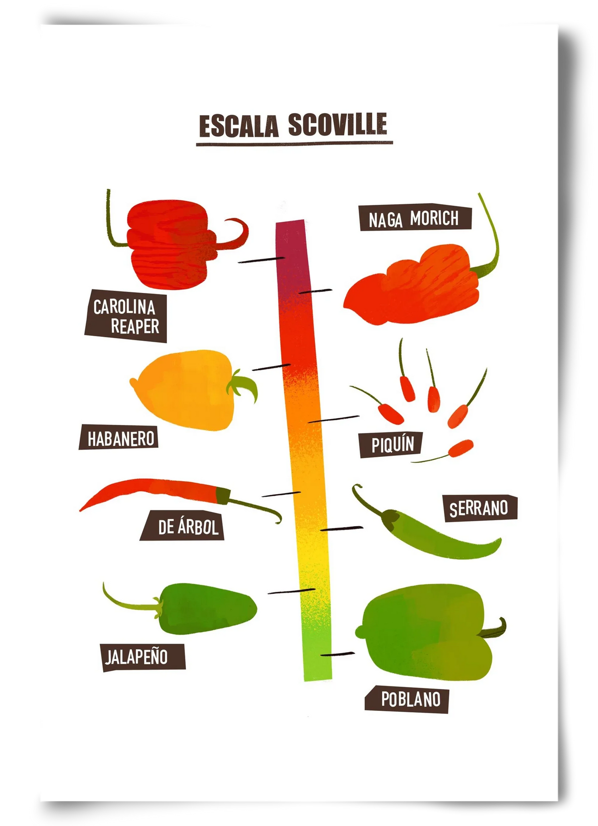 Spicy levels - artbridge