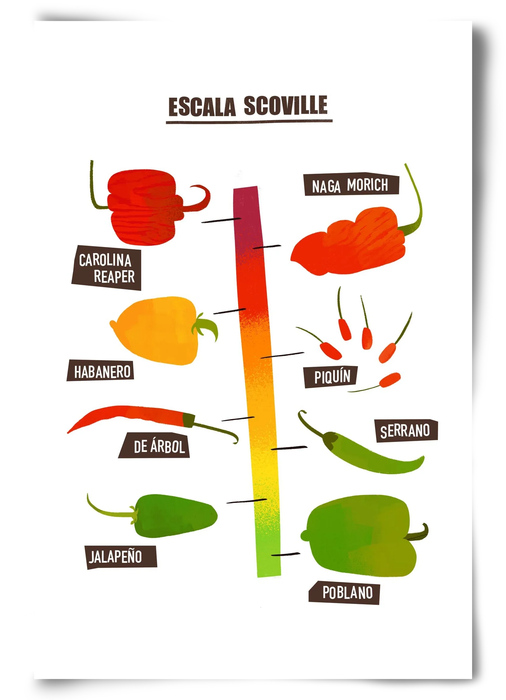 Spicy levels - artbridge