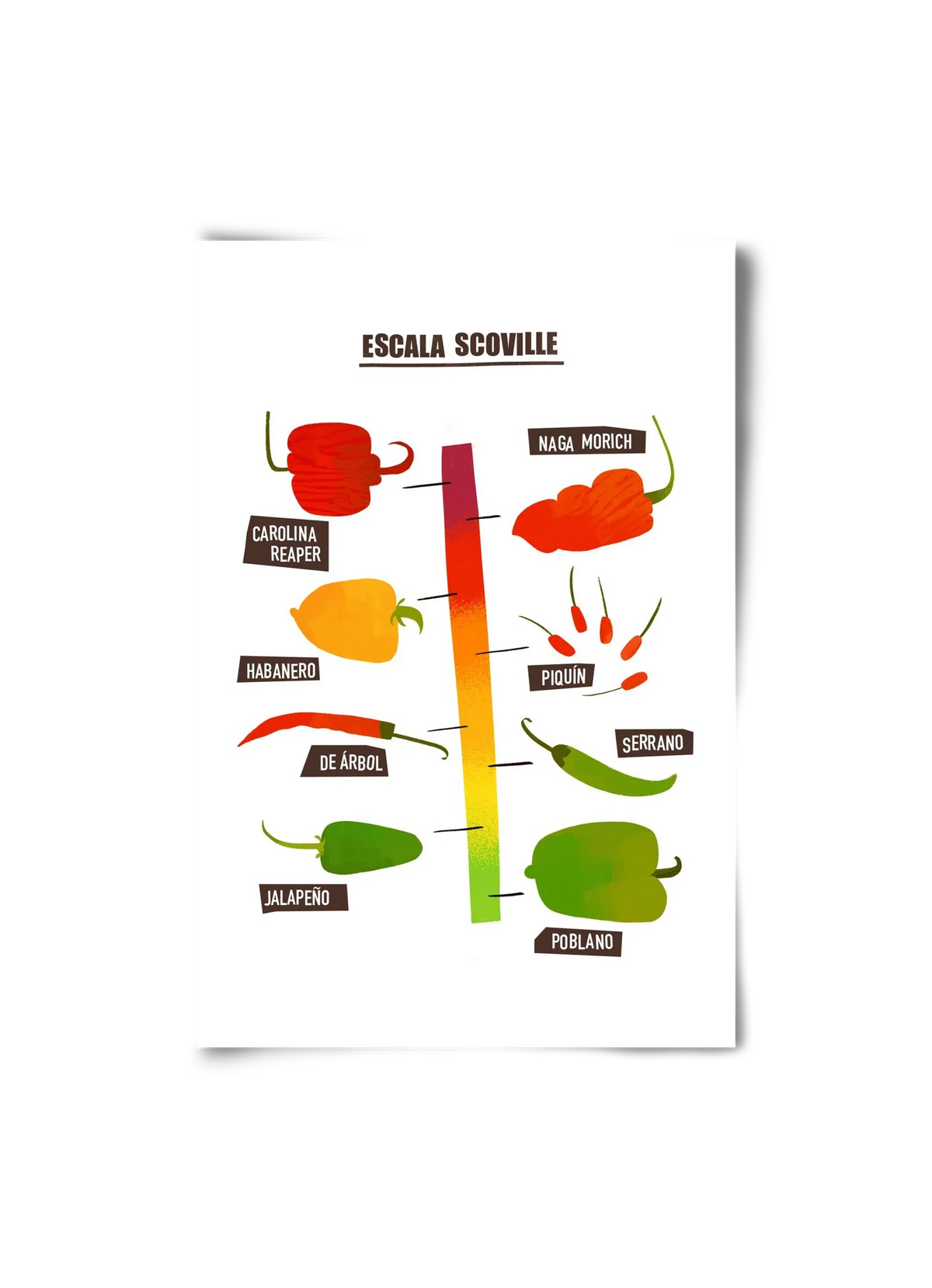 Spicy levels - artbridge