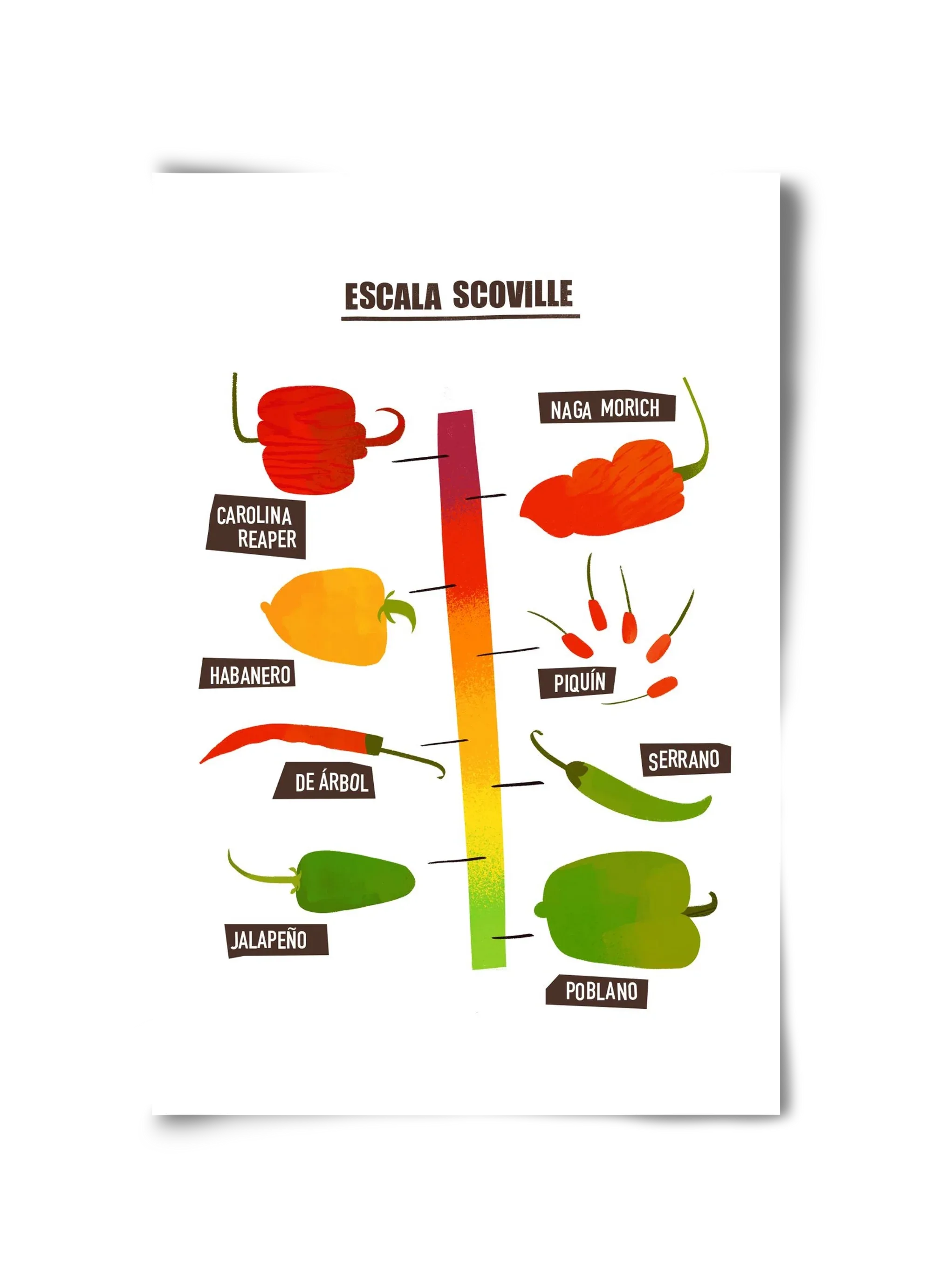 Spicy levels - artbridge