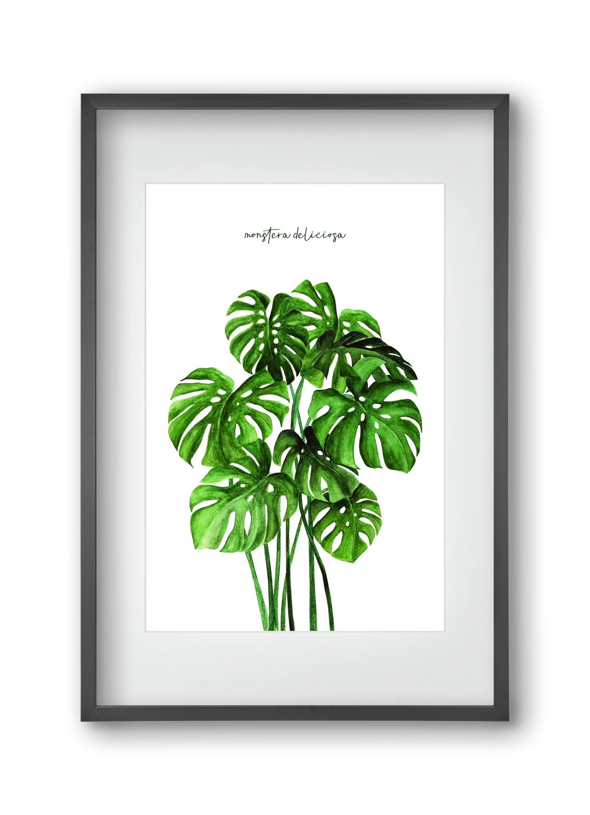 monstera deliciosa - artbridge