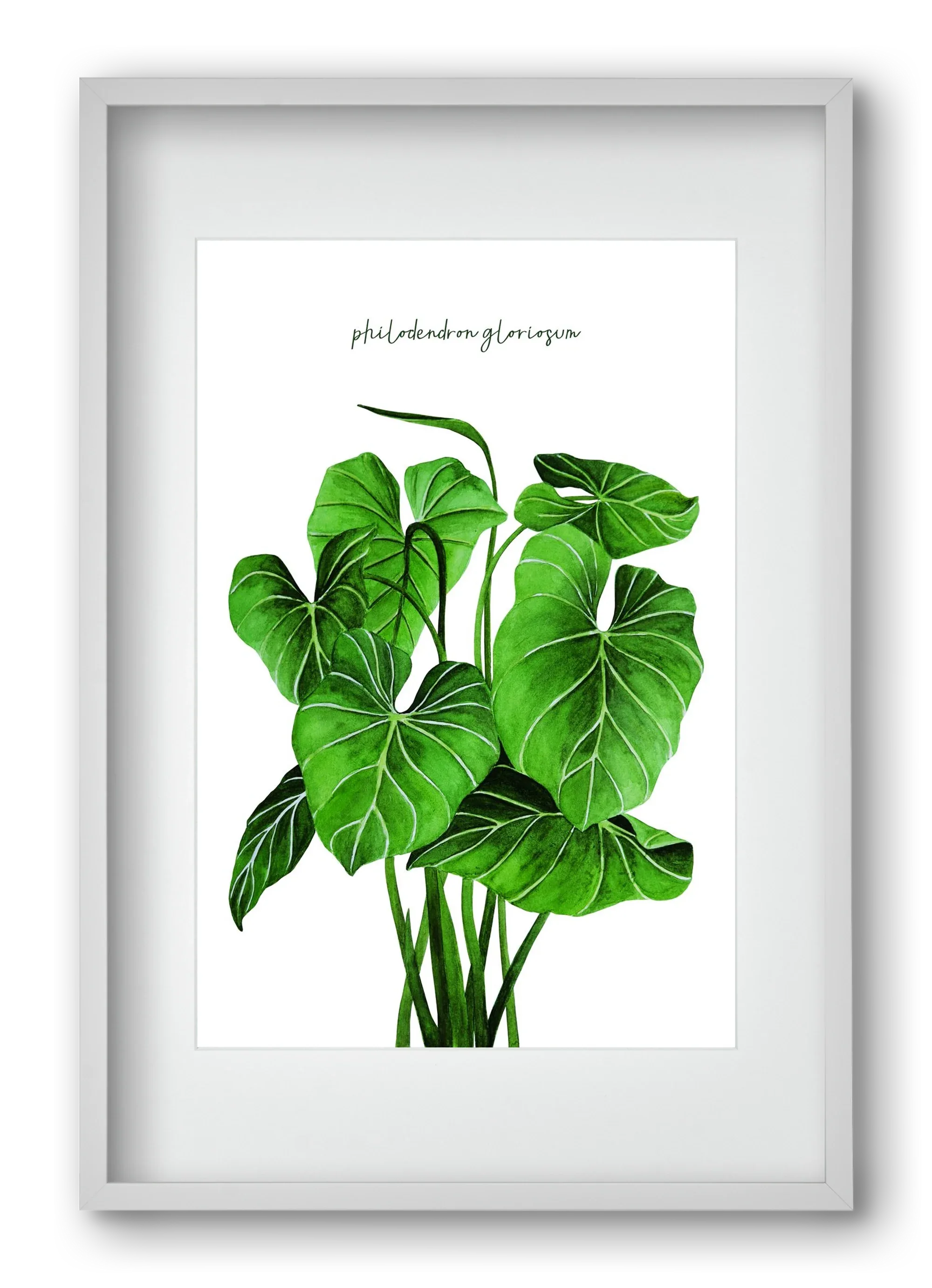 philodendron gloriosum - artbridge