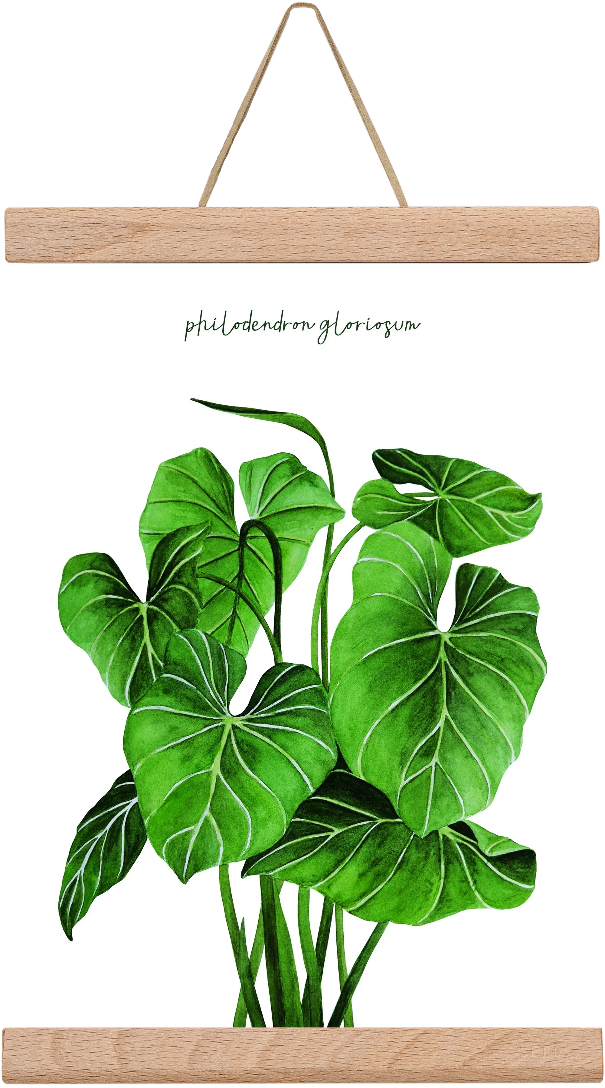 philodendron gloriosum - artbridge