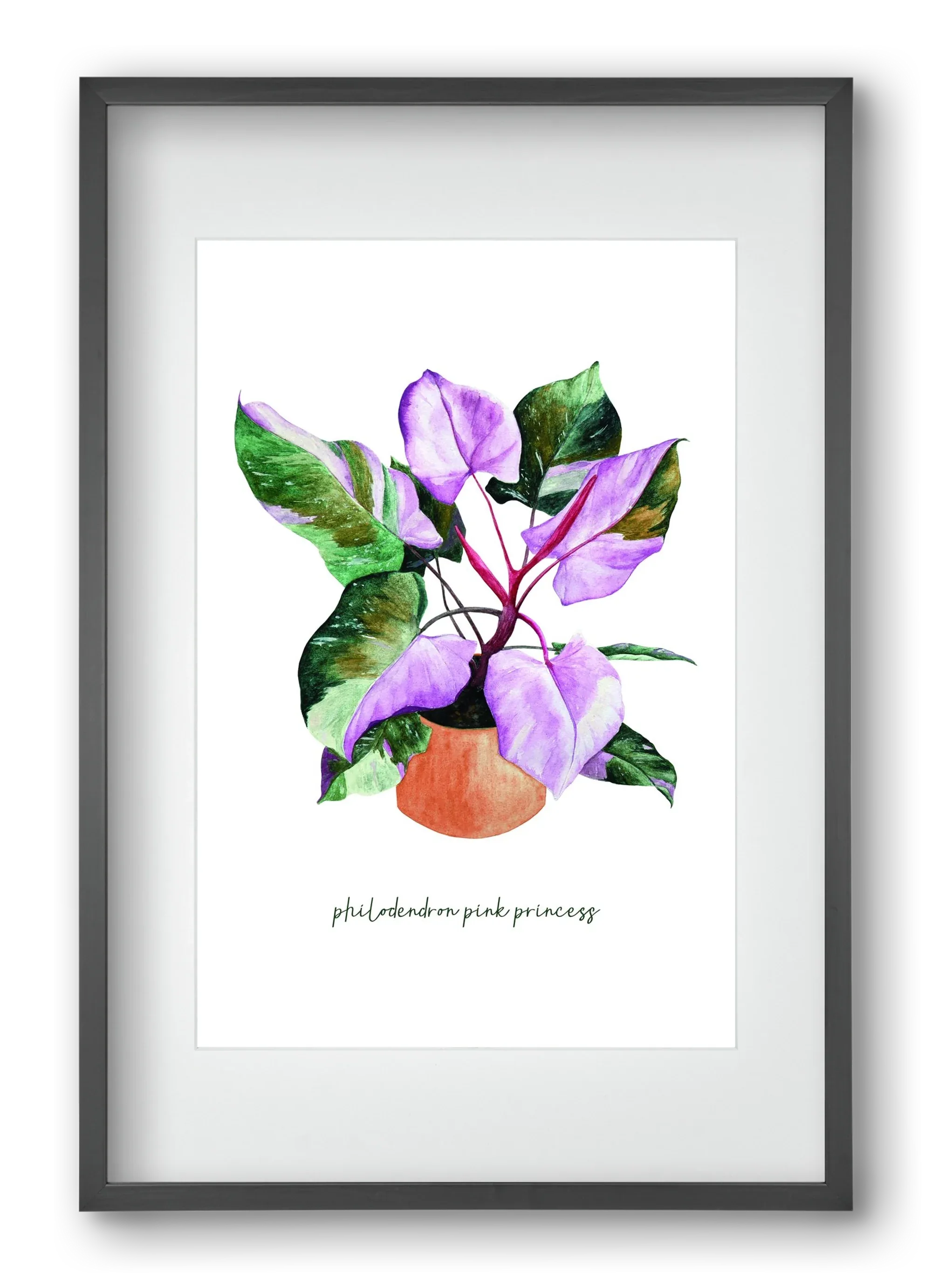 philodendron pink princess - artbridge