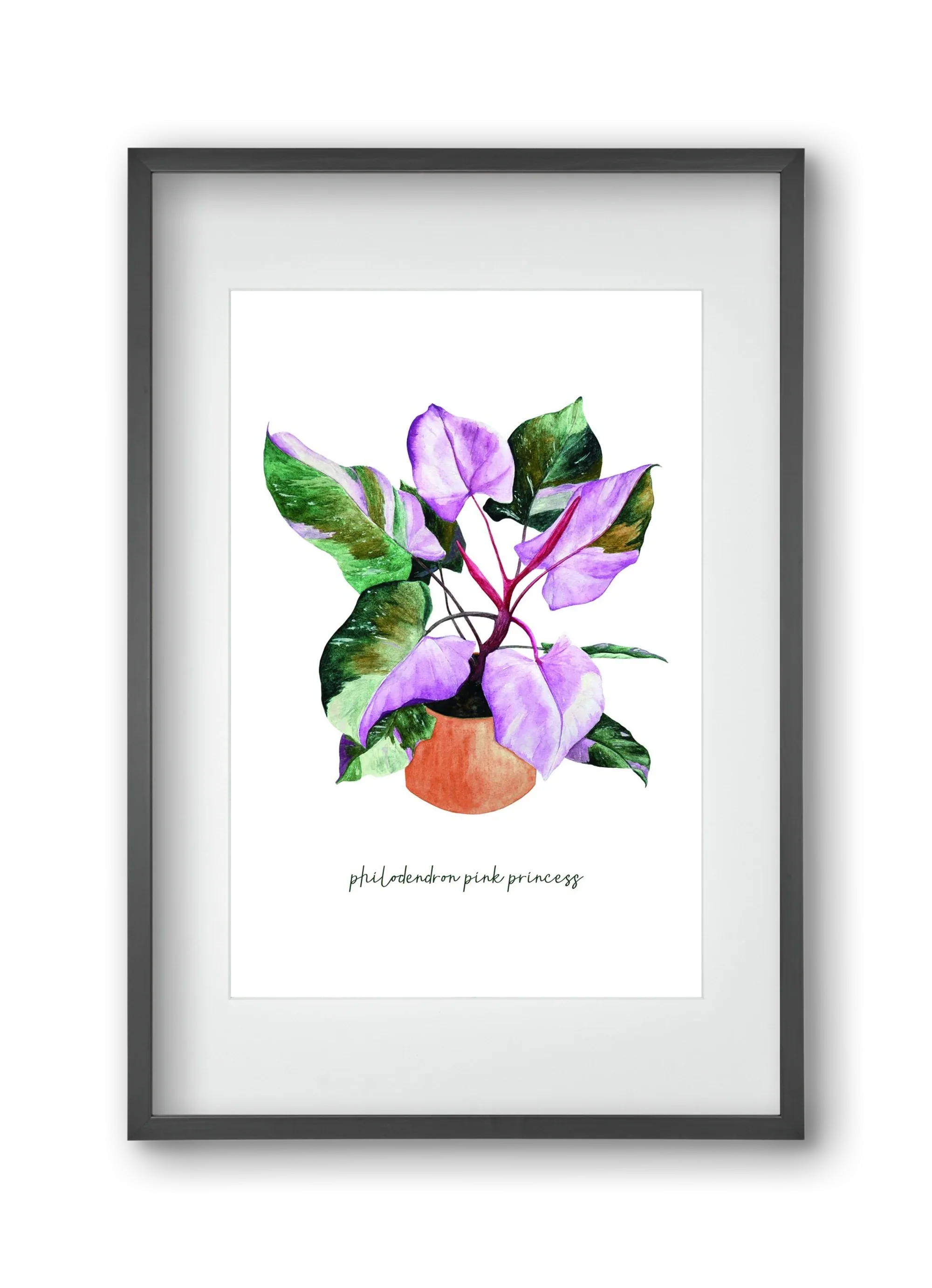 philodendron pink princess - artbridge