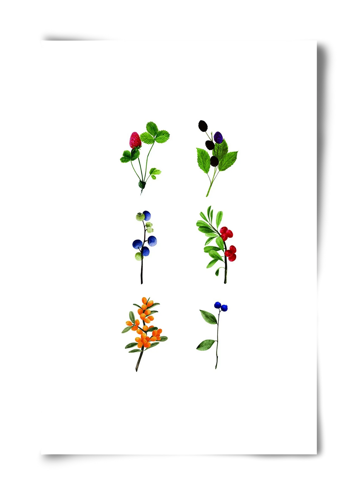 berries - artbridge