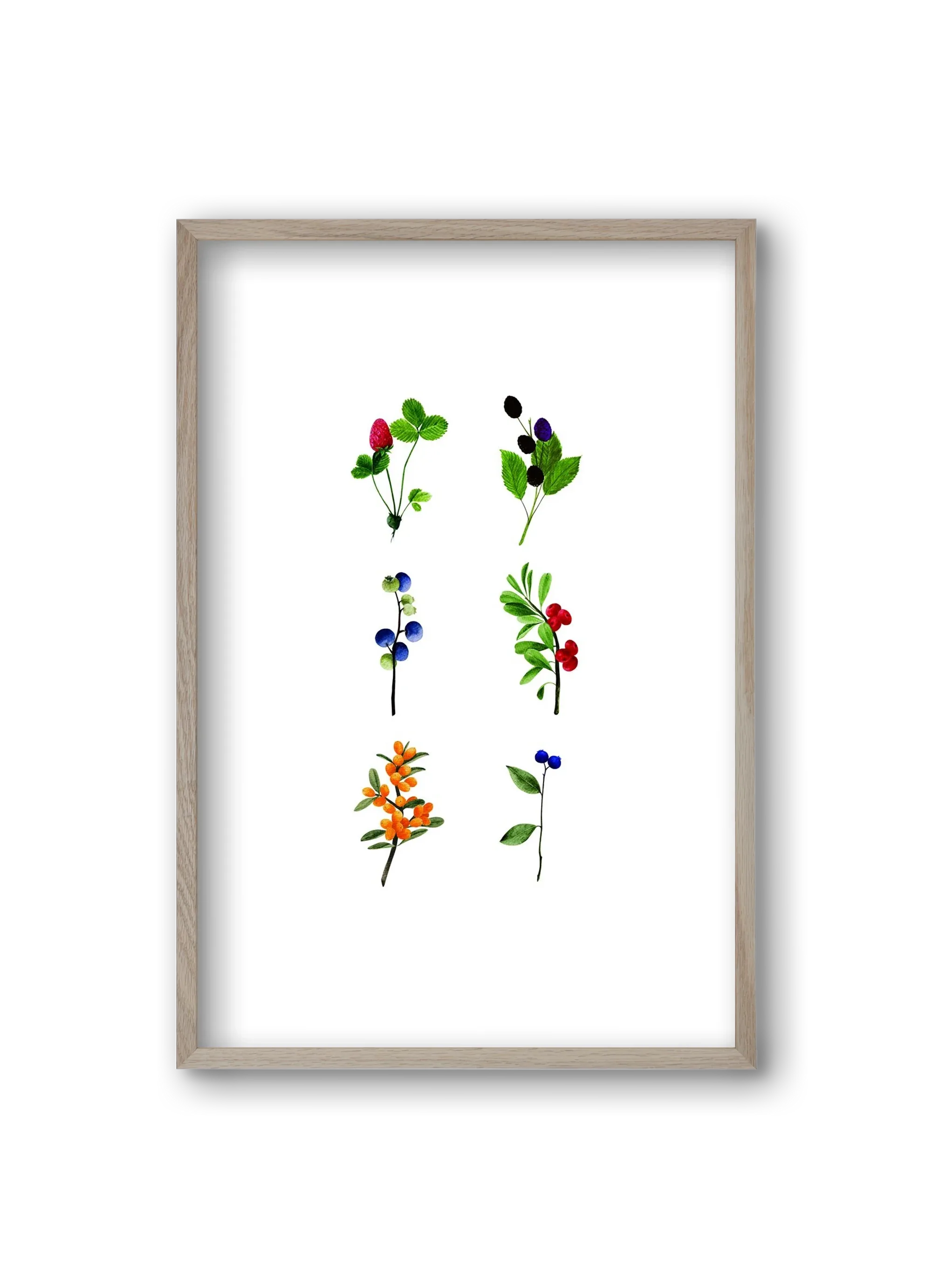 berries - artbridge