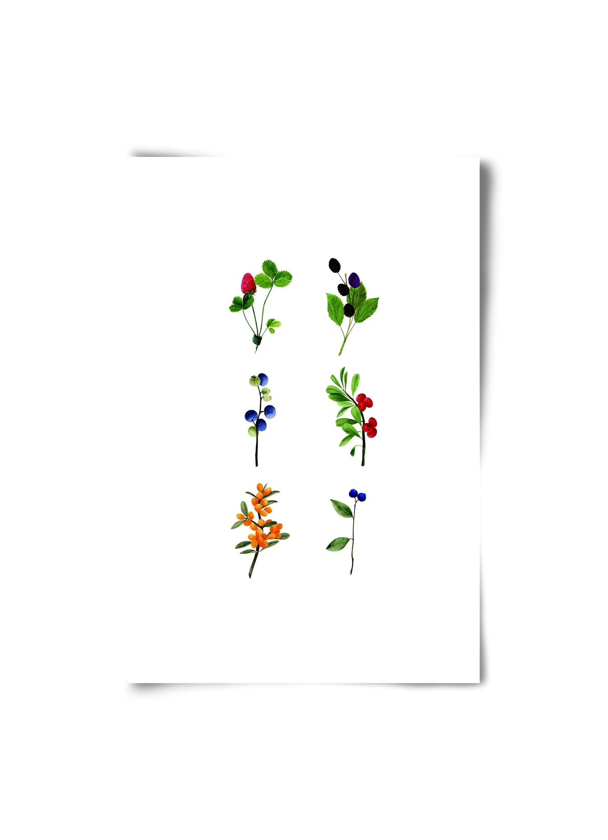 berries - artbridge