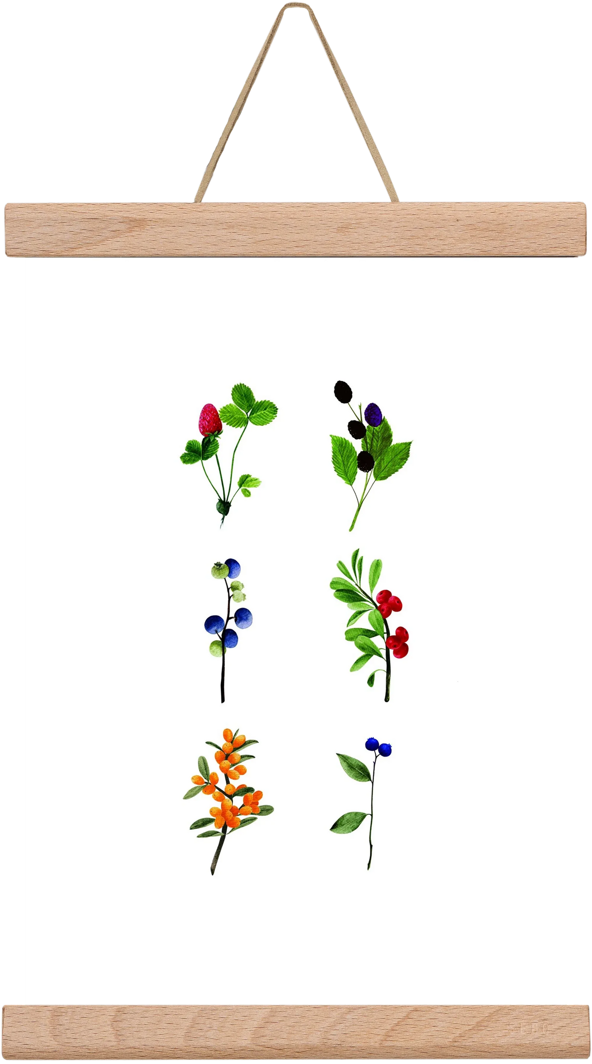 berries - artbridge