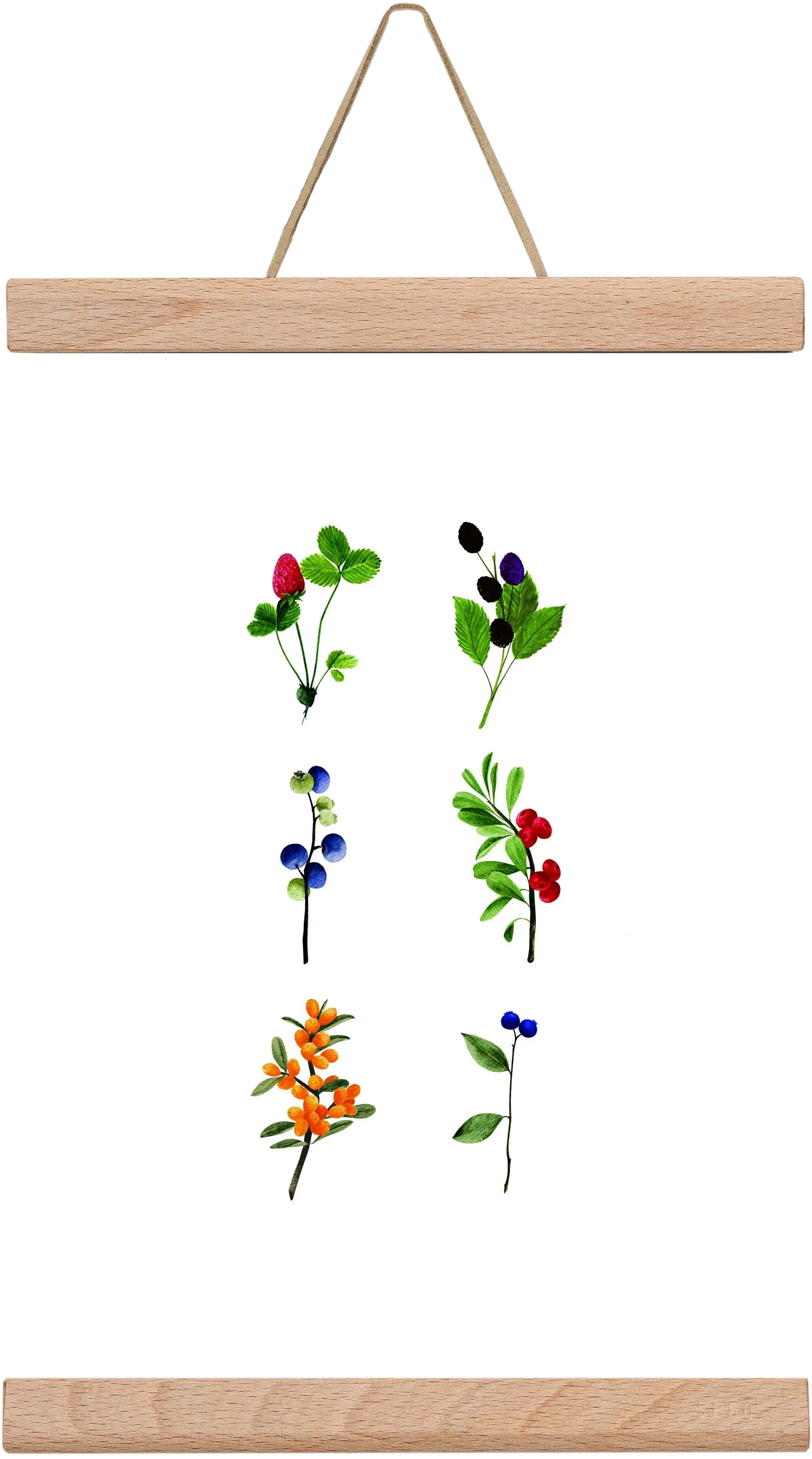 berries - artbridge