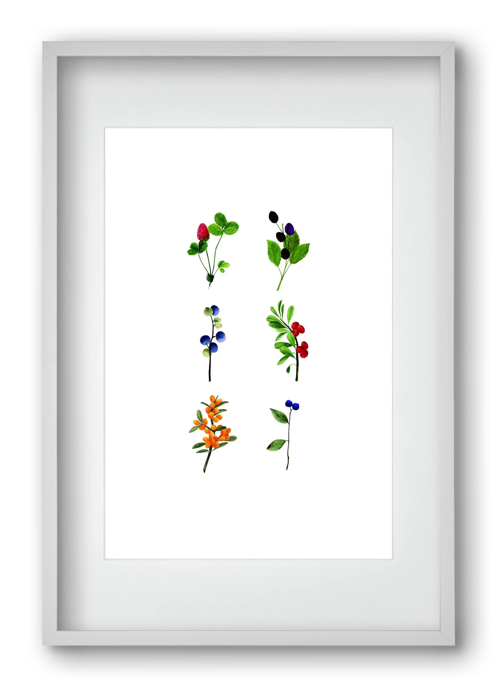 berries - artbridge