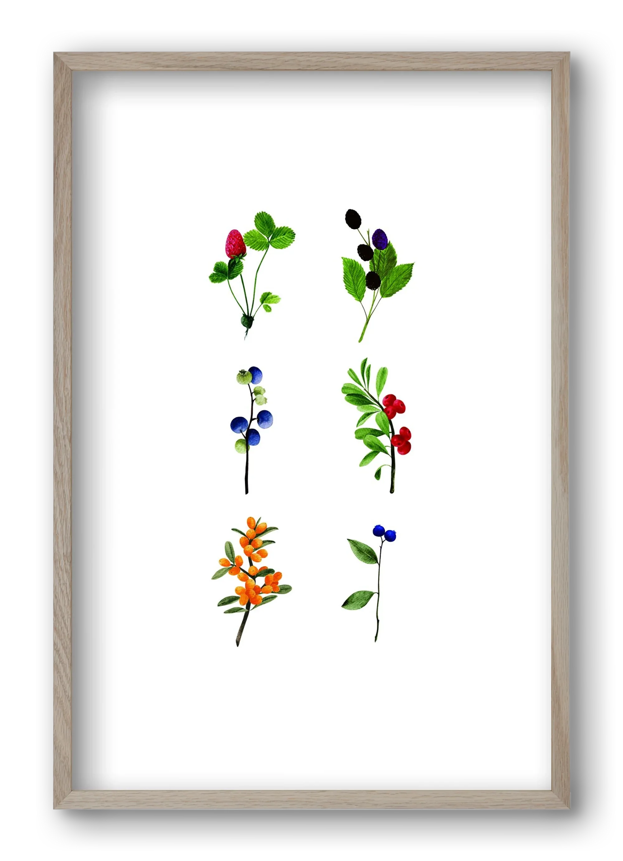 berries - artbridge