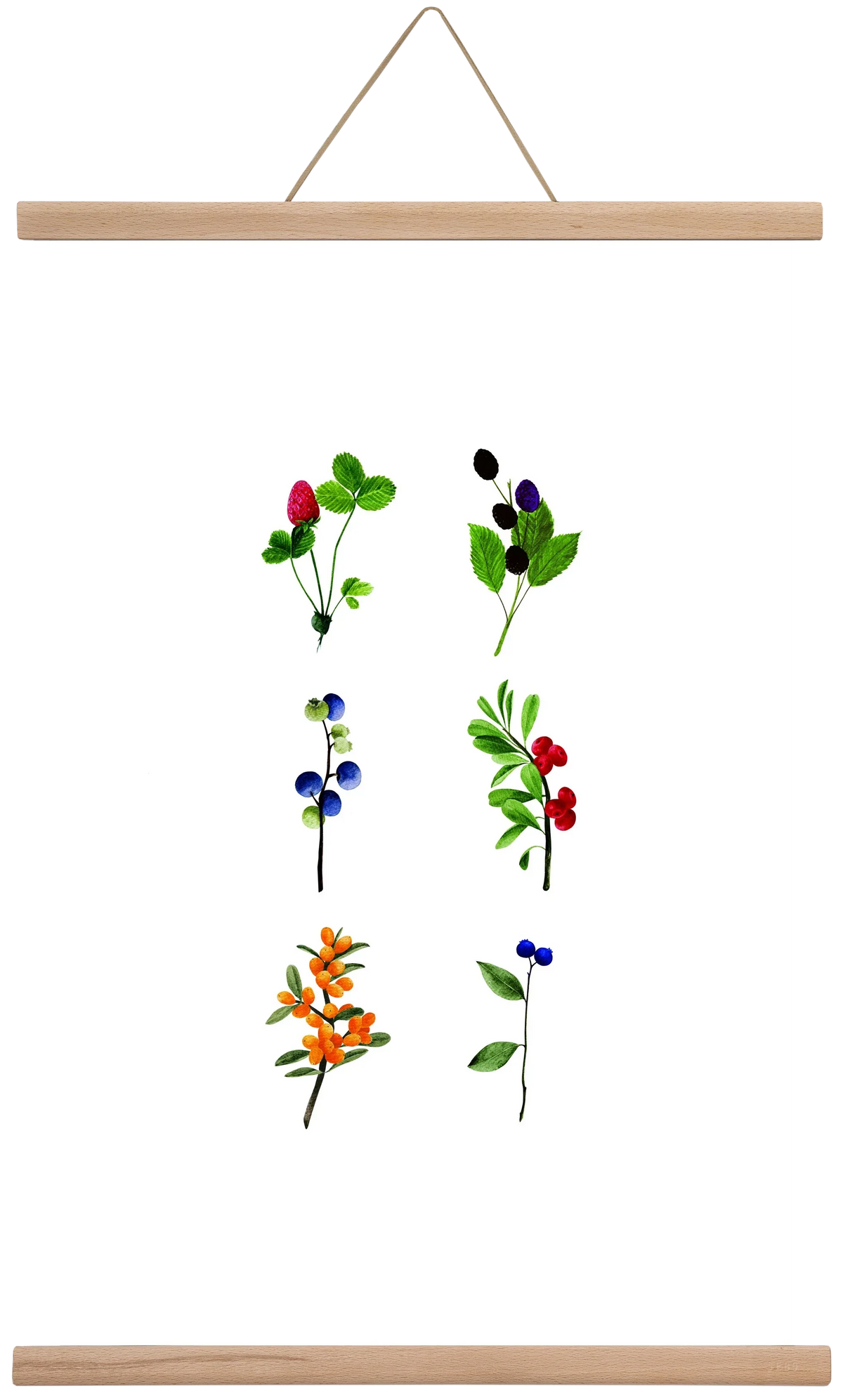 berries - artbridge