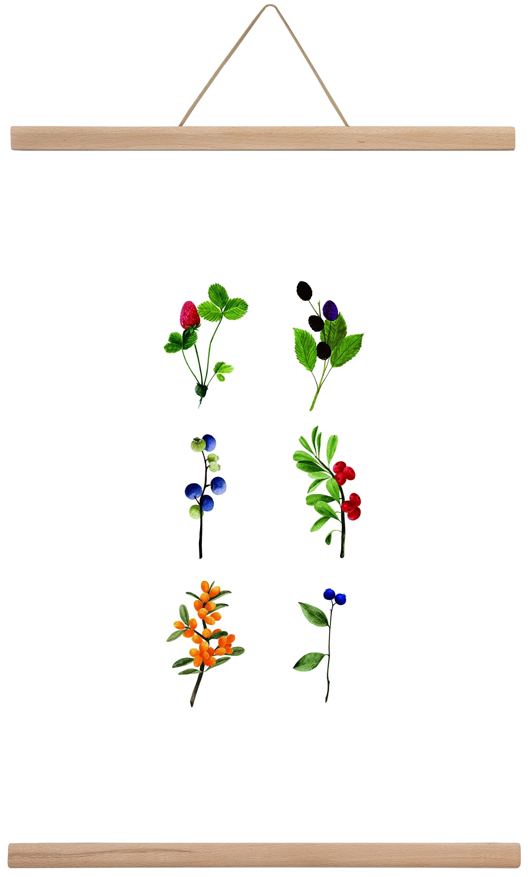 berries - artbridge