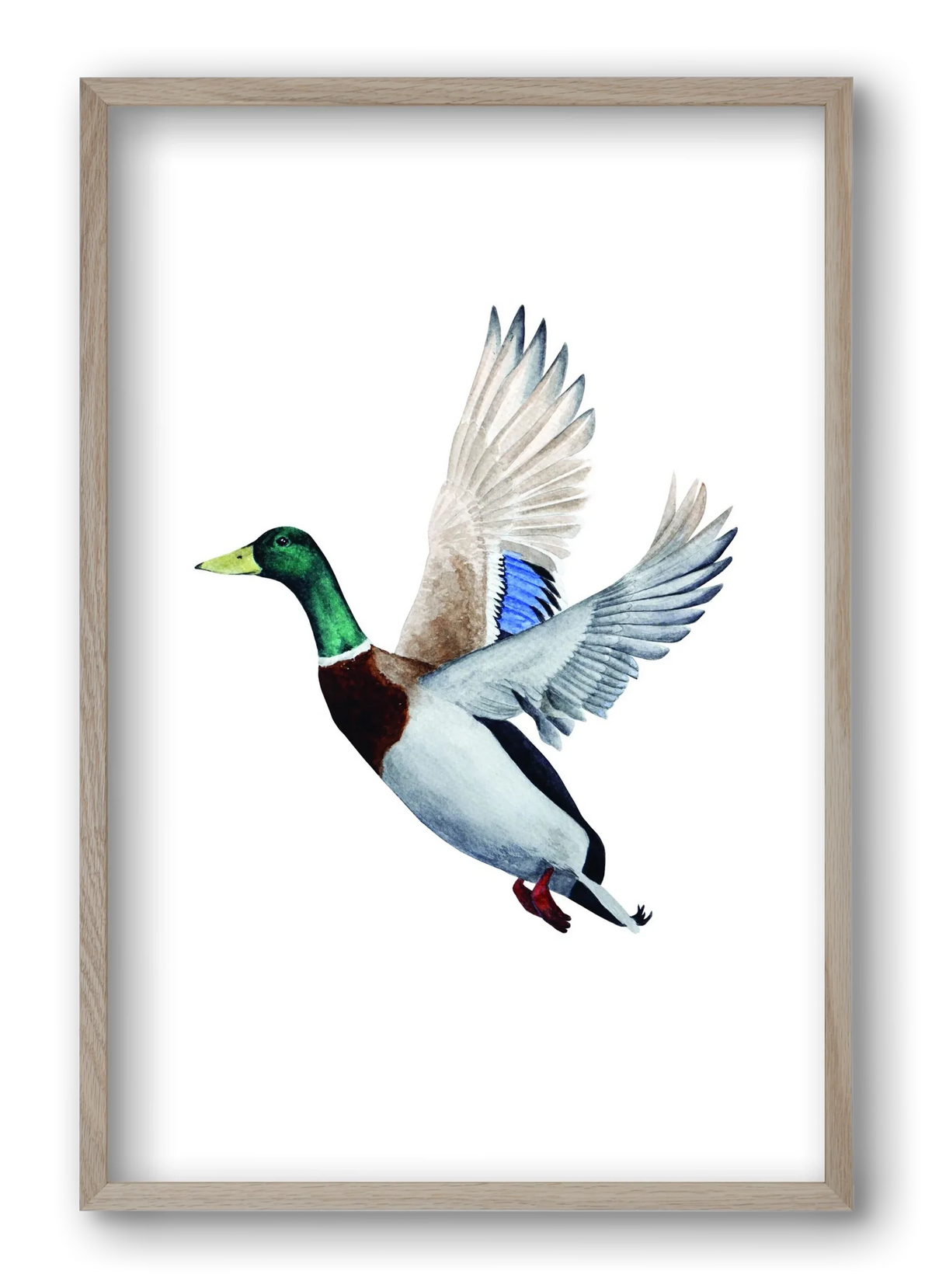 duck - artbridge