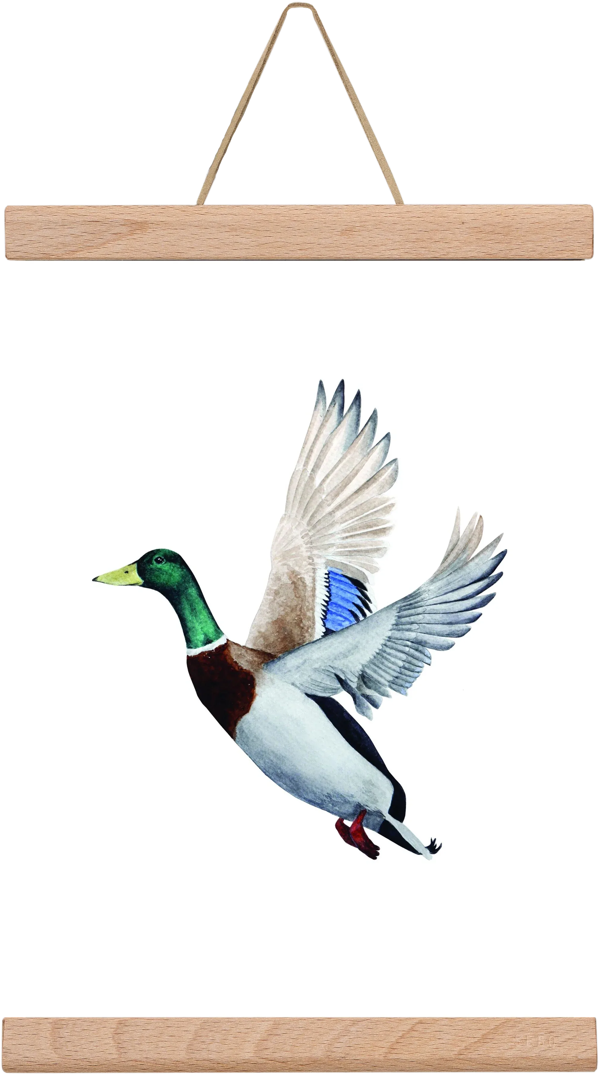 duck - artbridge