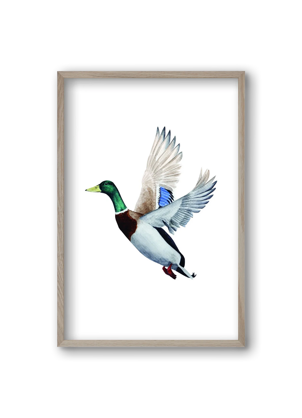 duck - artbridge