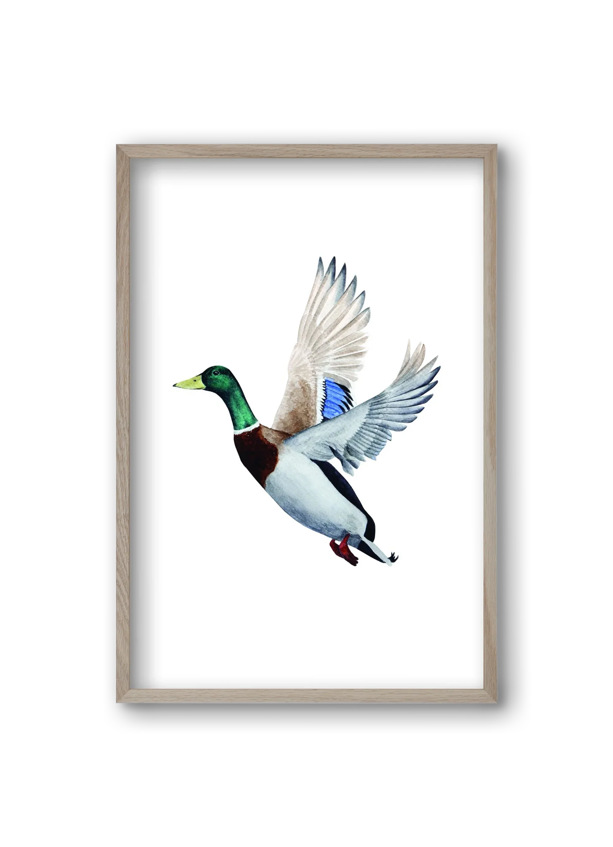 duck - artbridge
