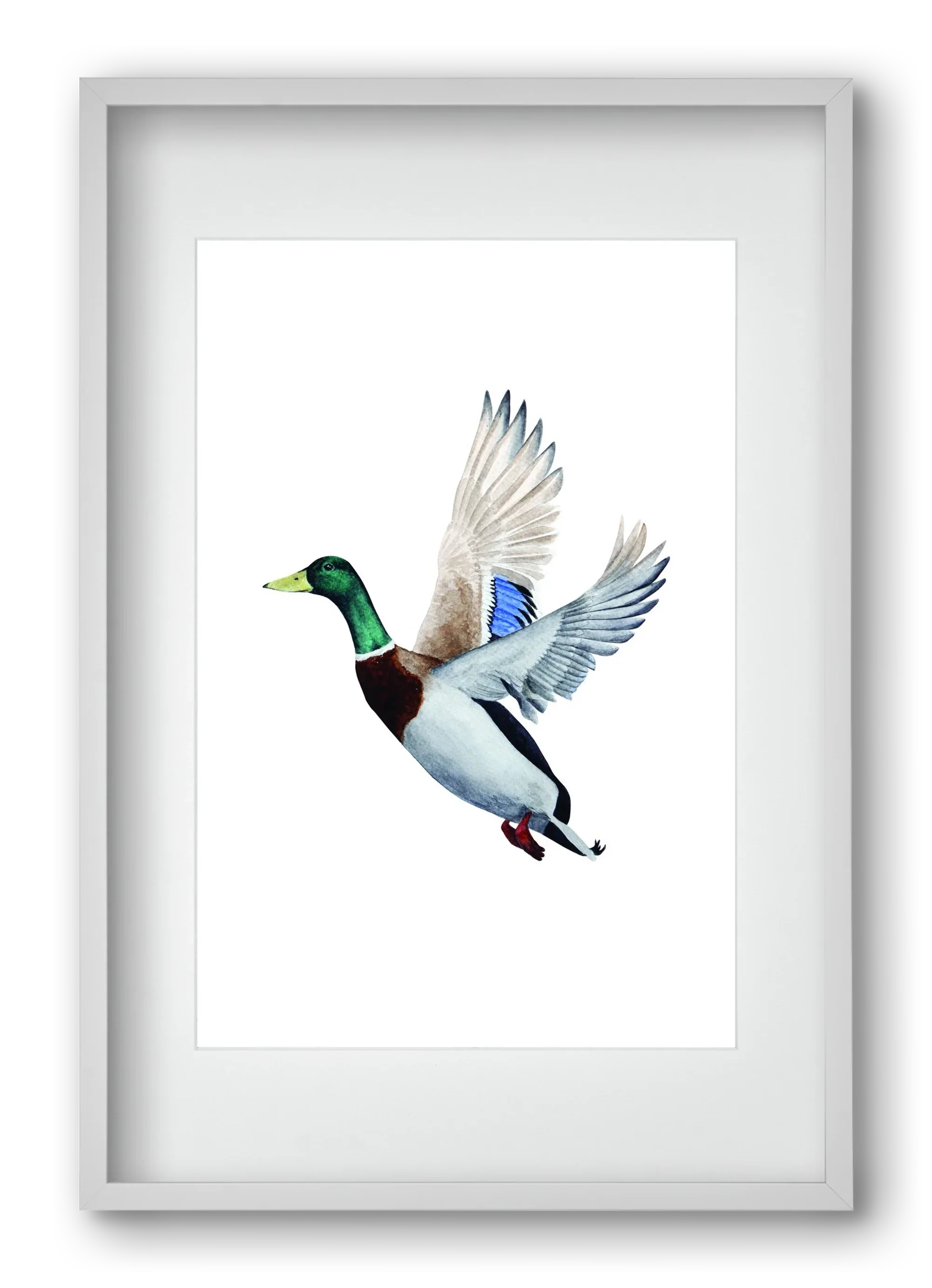duck - artbridge