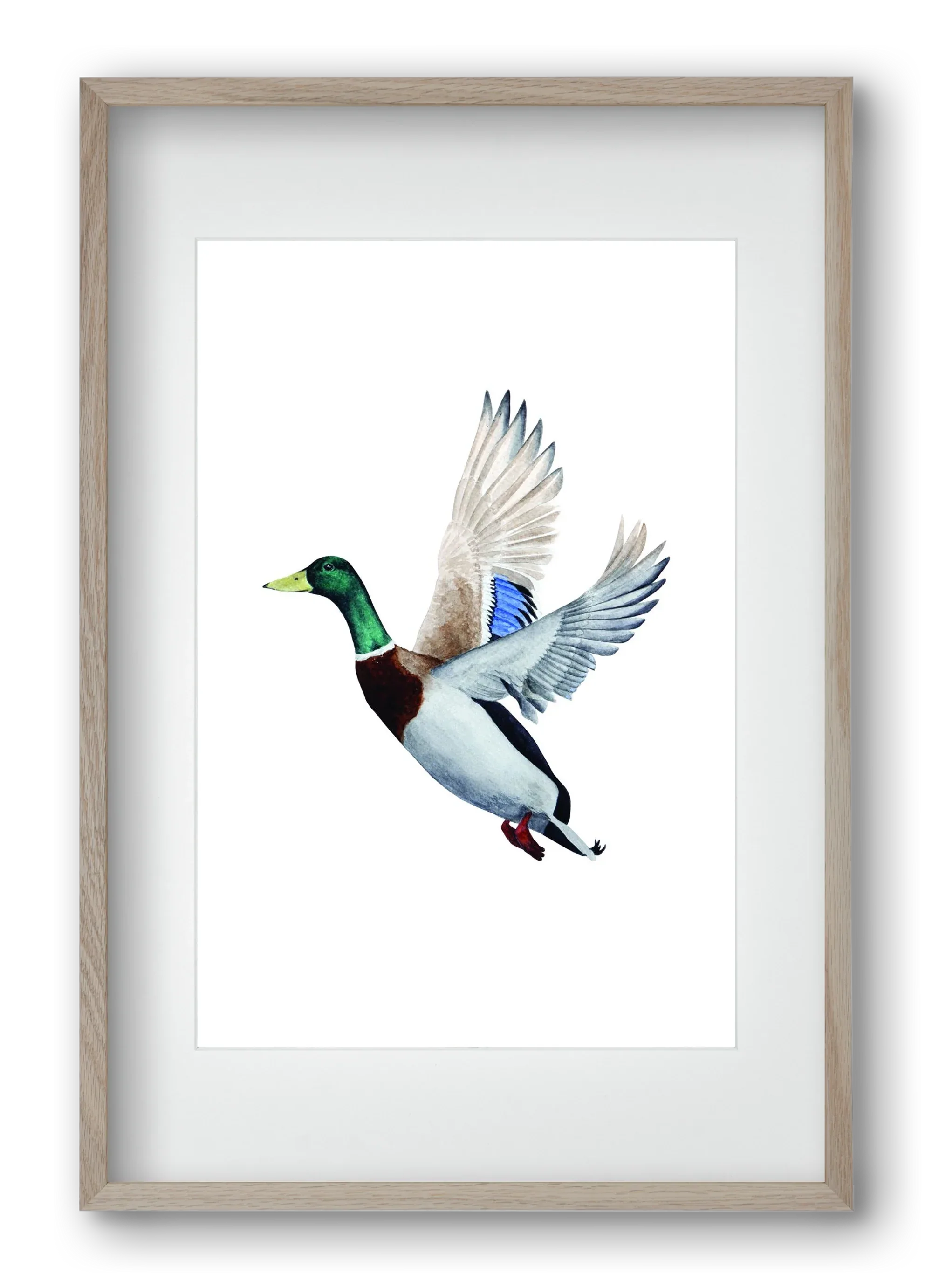 duck - artbridge