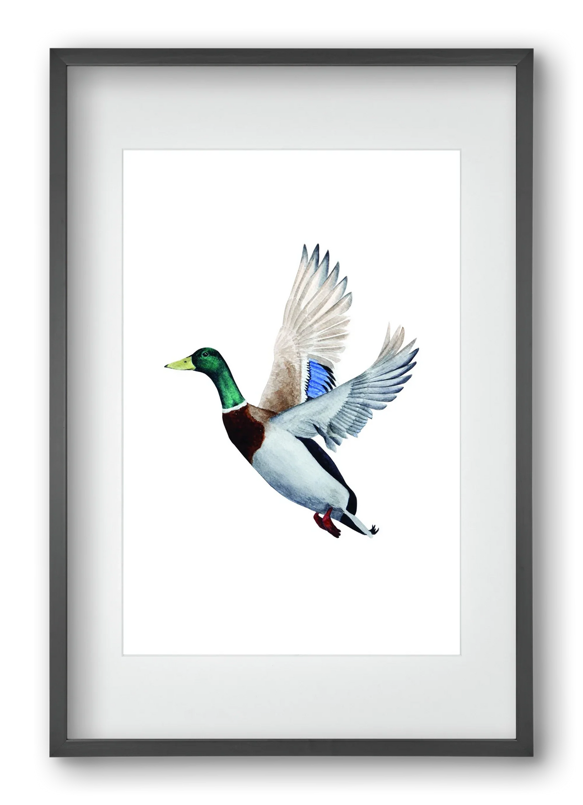 duck - artbridge