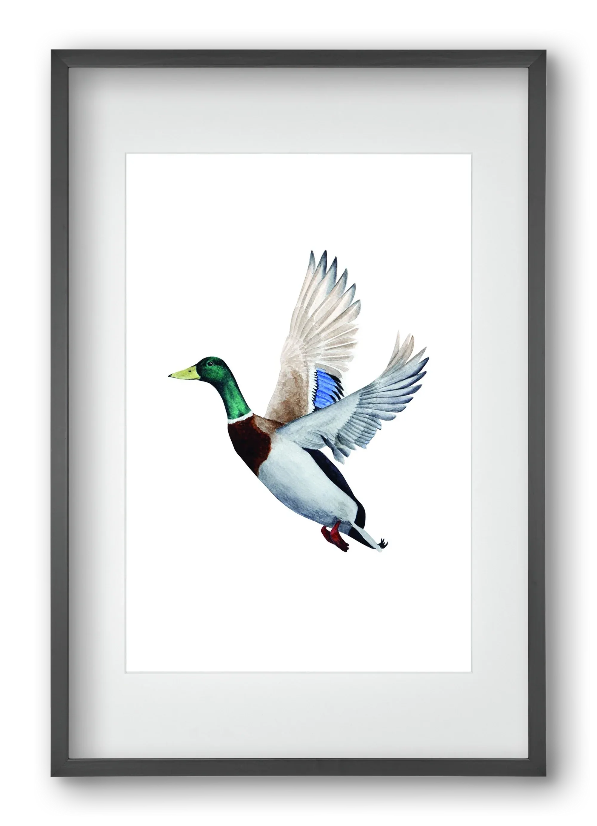 duck - artbridge