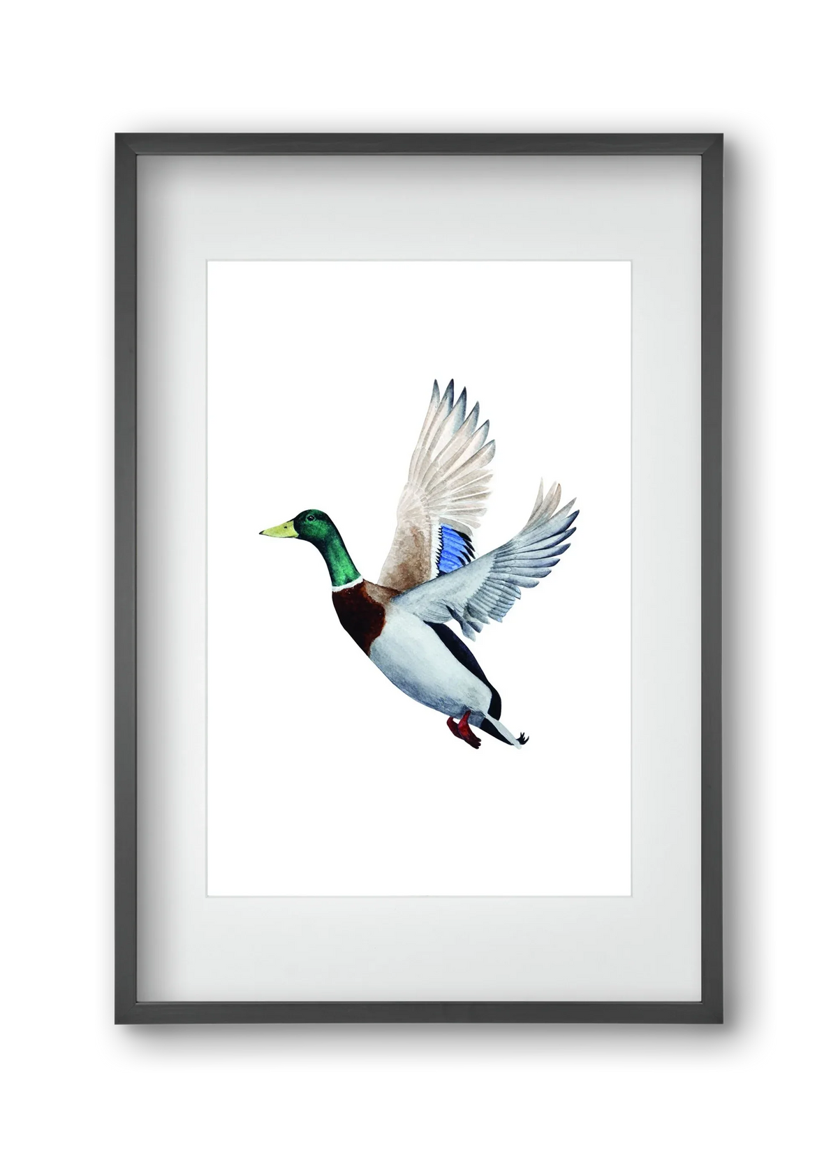 duck - artbridge